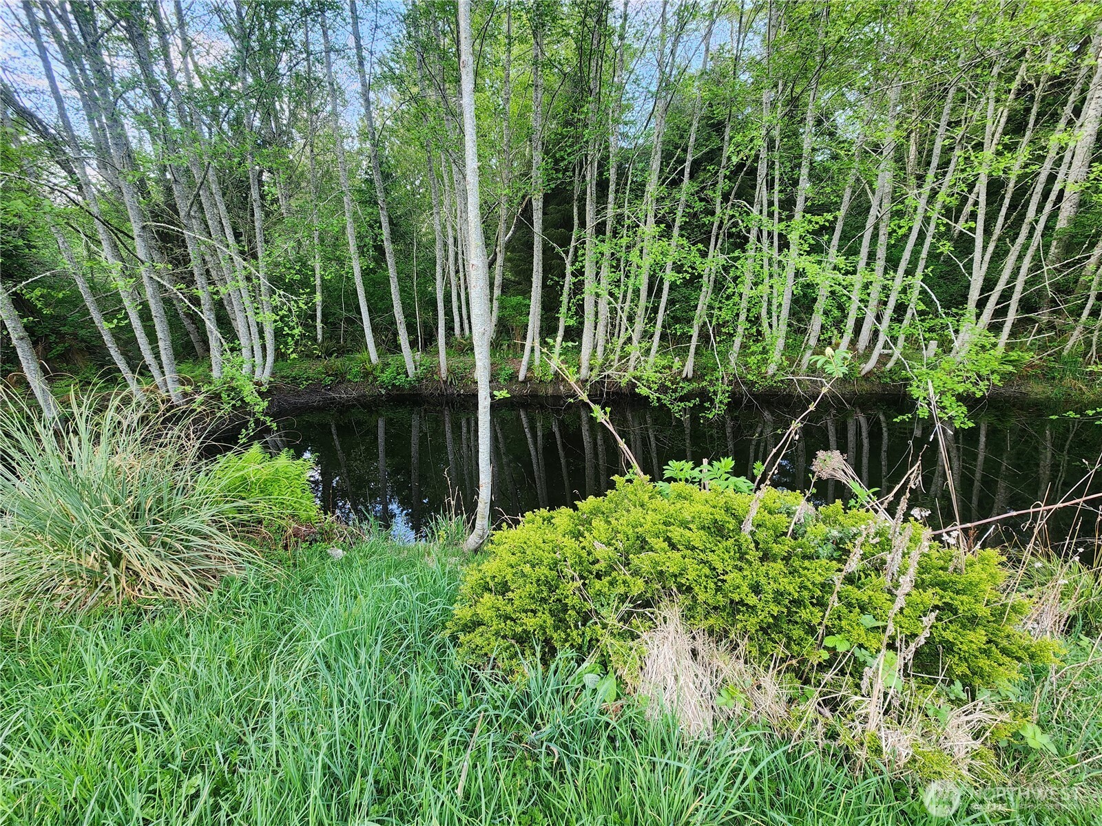 663 Whiskey Creek Beach Road Property Photo 19