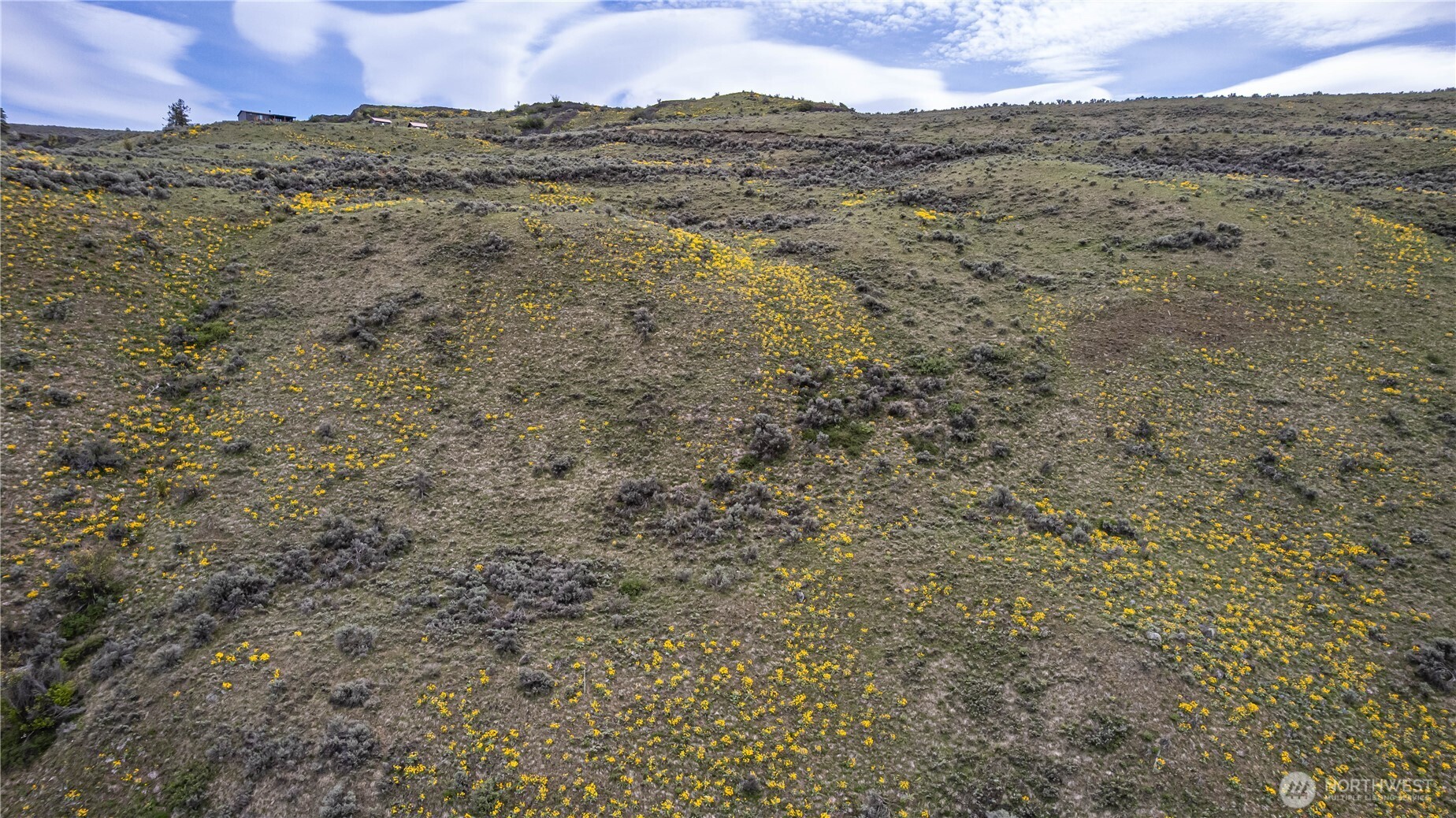 0 Chelan Hills Acres Tract Property Photo 12