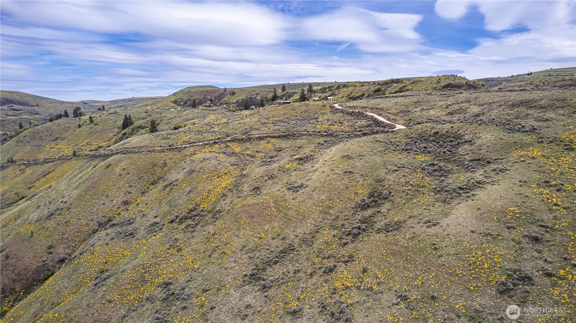 0 Chelan Hills Acres Tract Property Photo 13