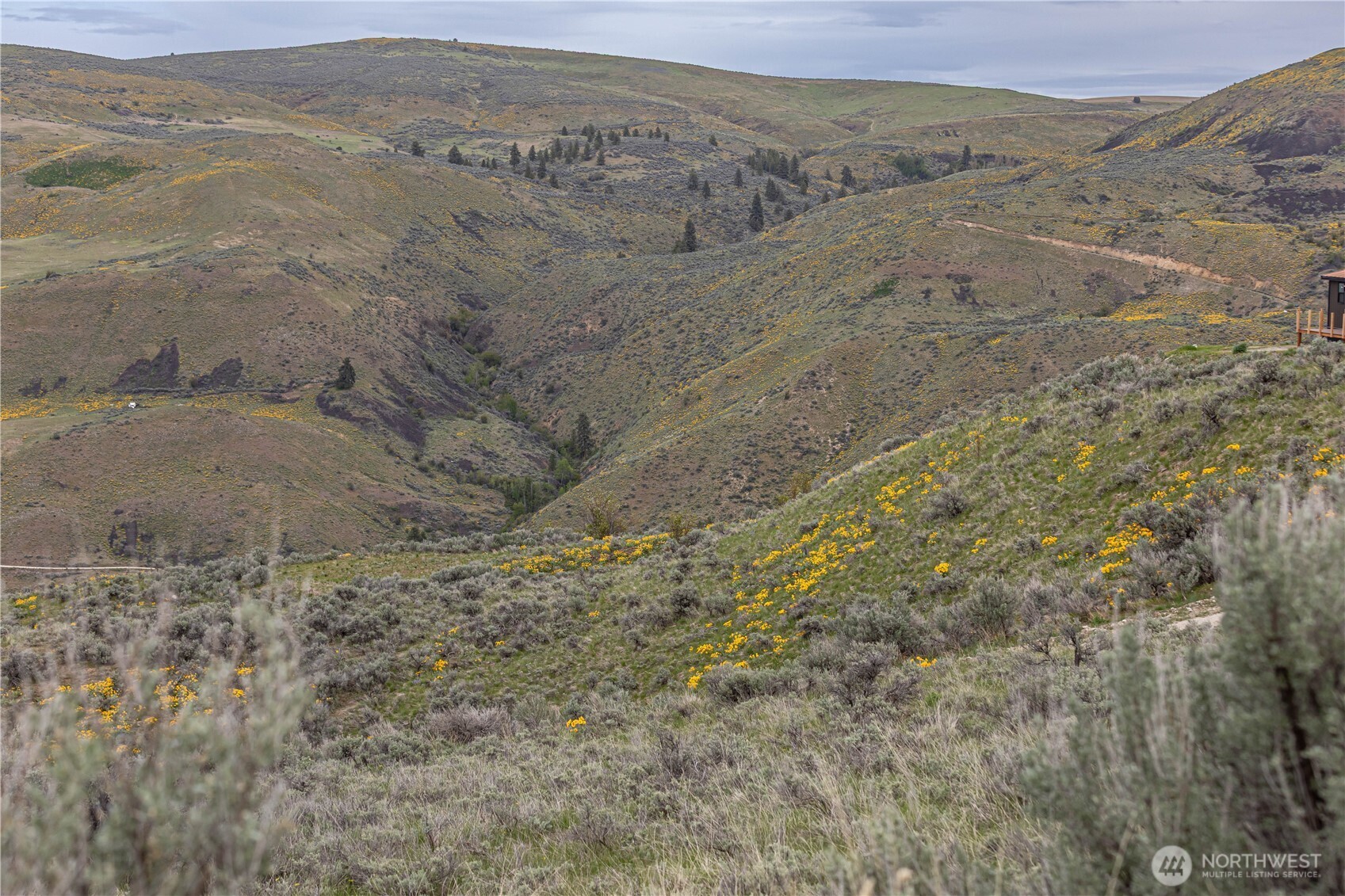 0 Chelan Hills Acres Tract Property Photo 27