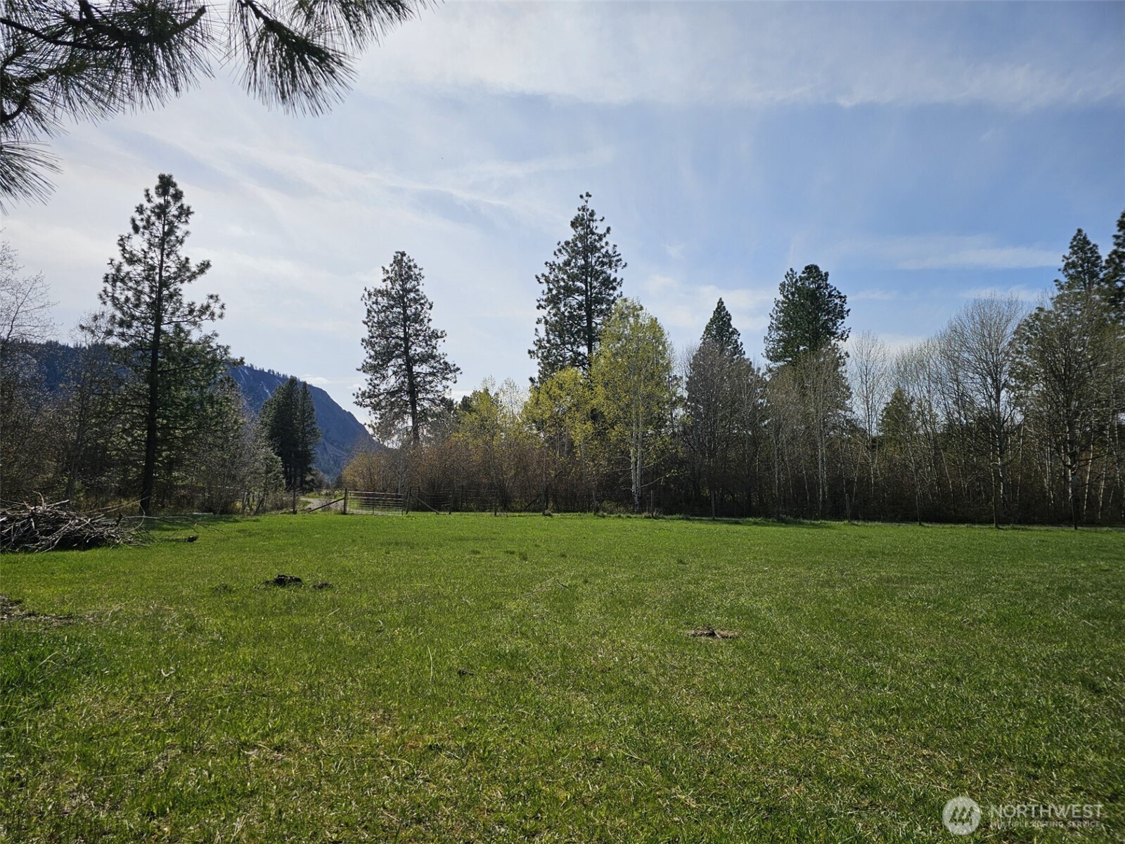 750 Iron Mountain Road Property Photo 7