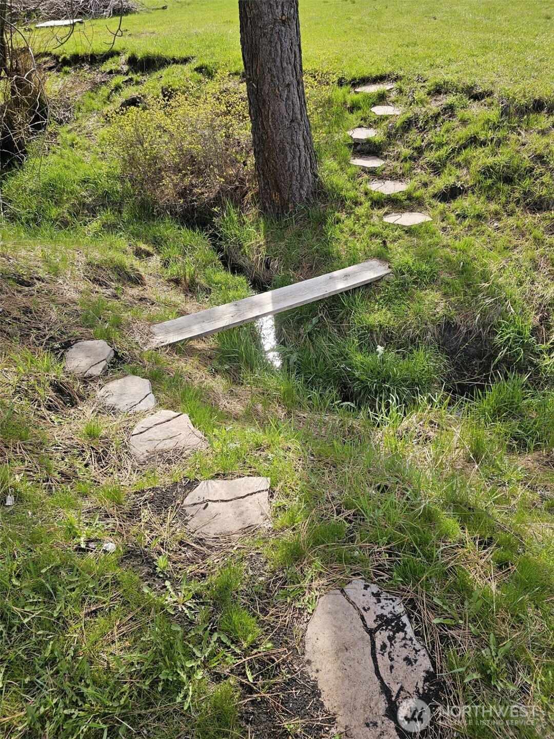 750 Iron Mountain Road Property Photo 11