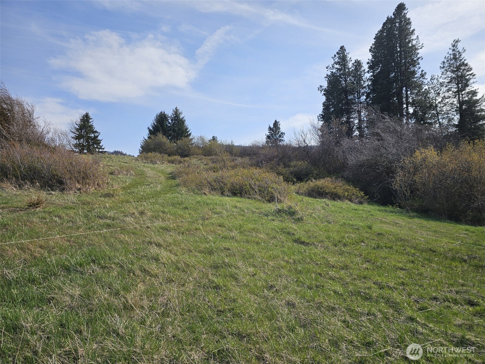 750 Iron Mountain Road Property Photo 25