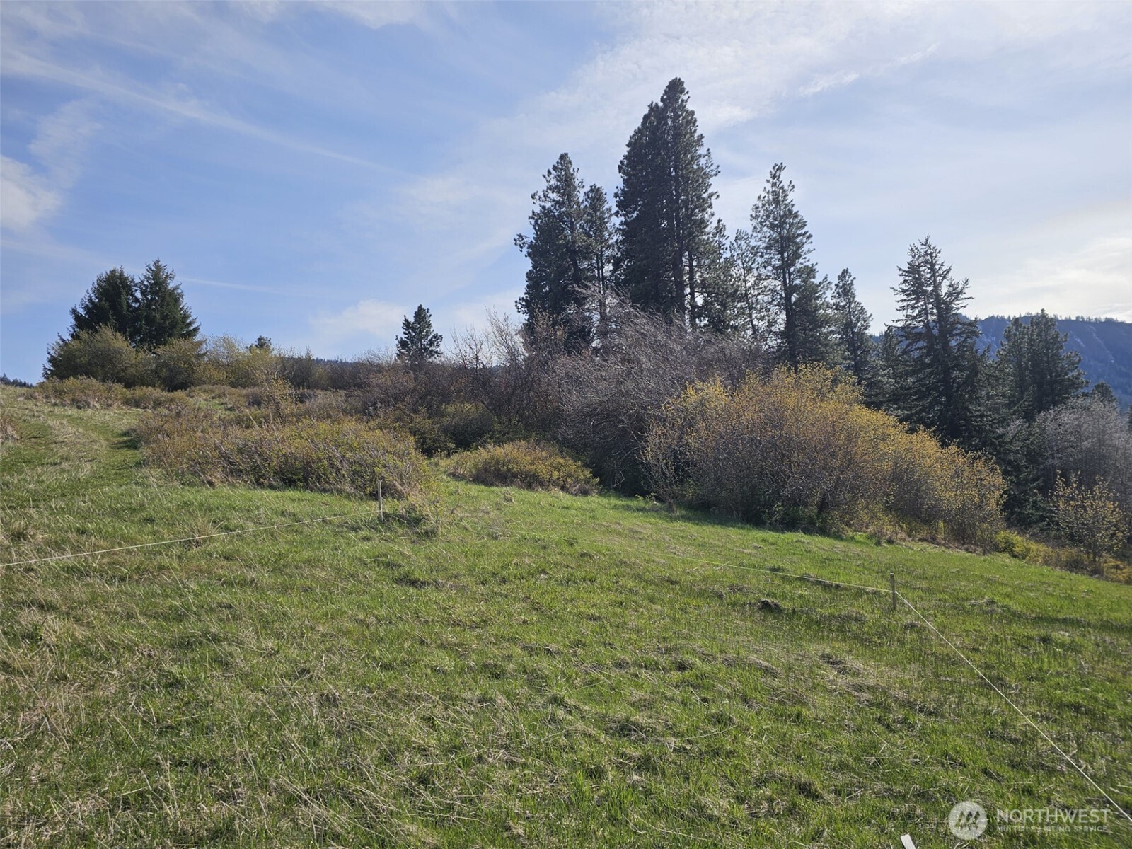 750 Iron Mountain Road Property Photo 32