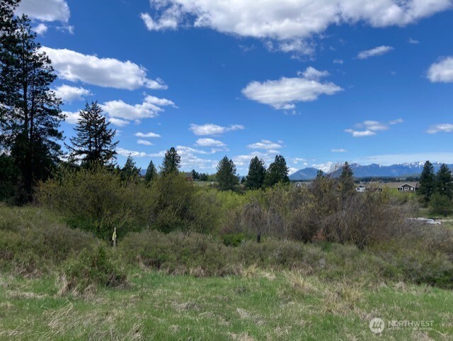 750 Iron Mountain Road Property Photo 33