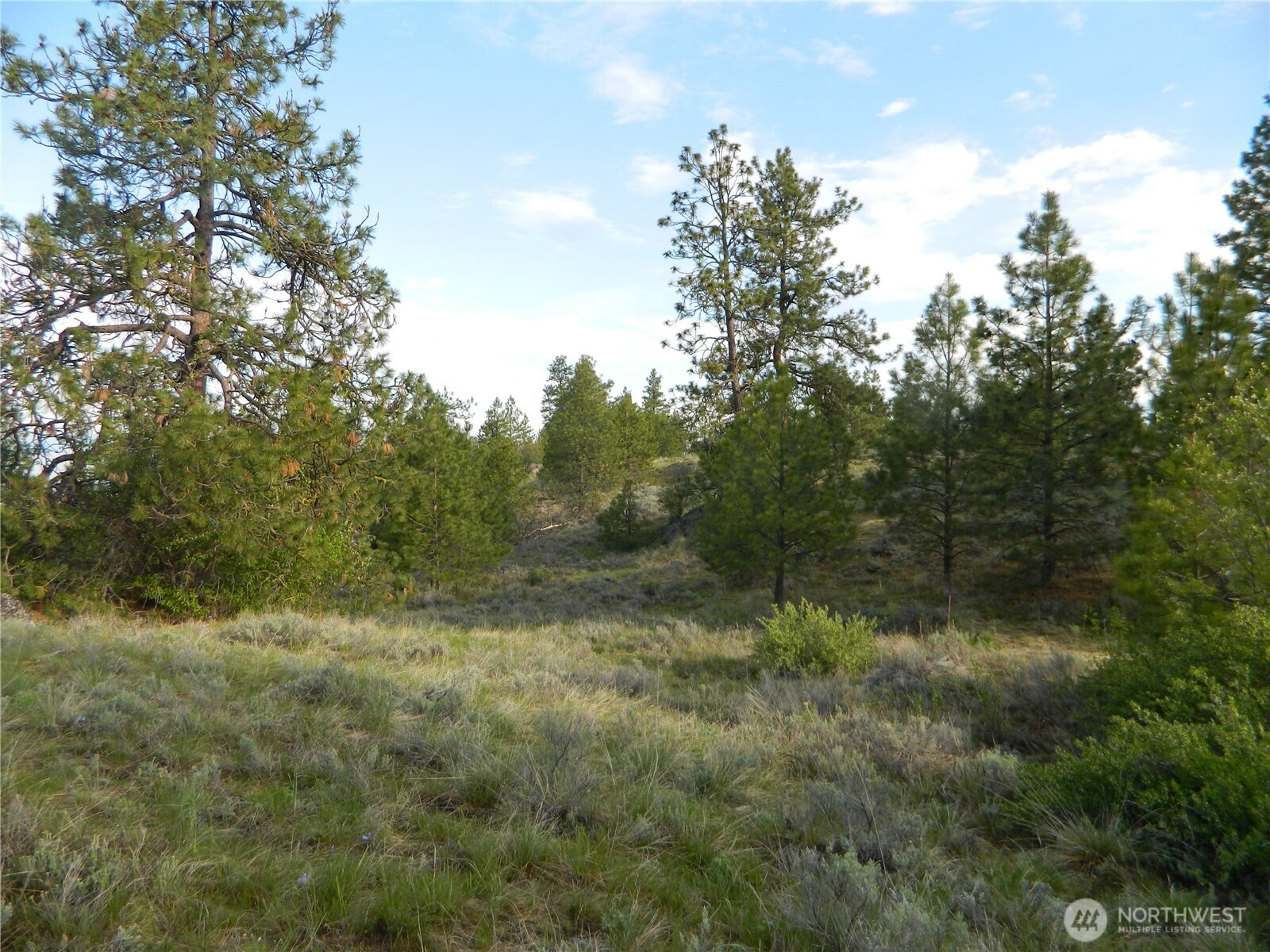 0 Tbd Rehmke Road Property Photo 1