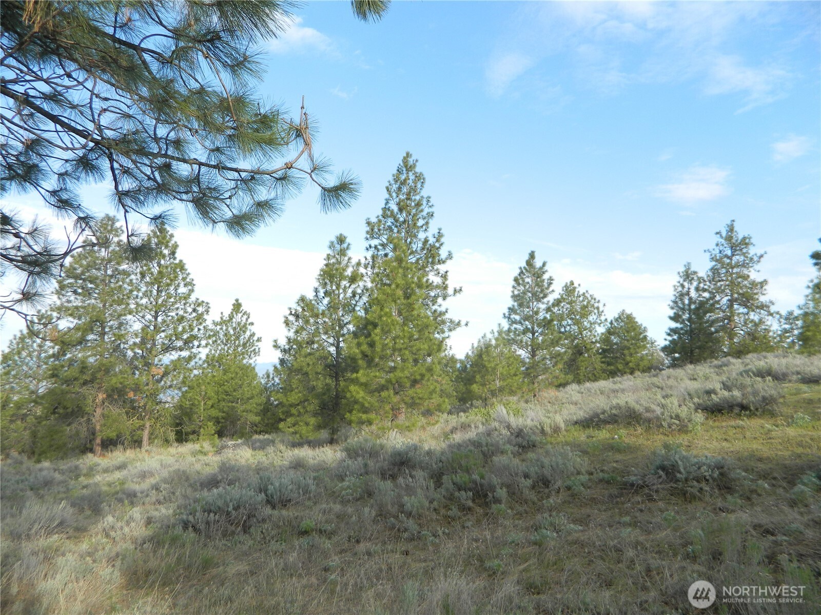 0 Tbd Rehmke Road Property Photo 2