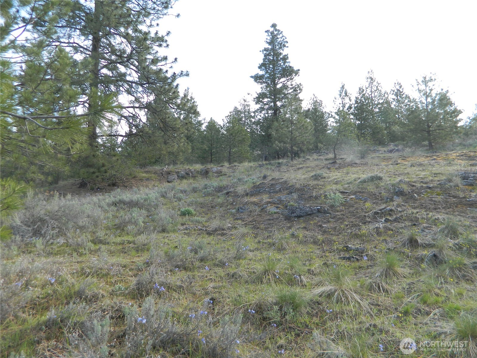 0 Tbd Rehmke Road Property Photo 3