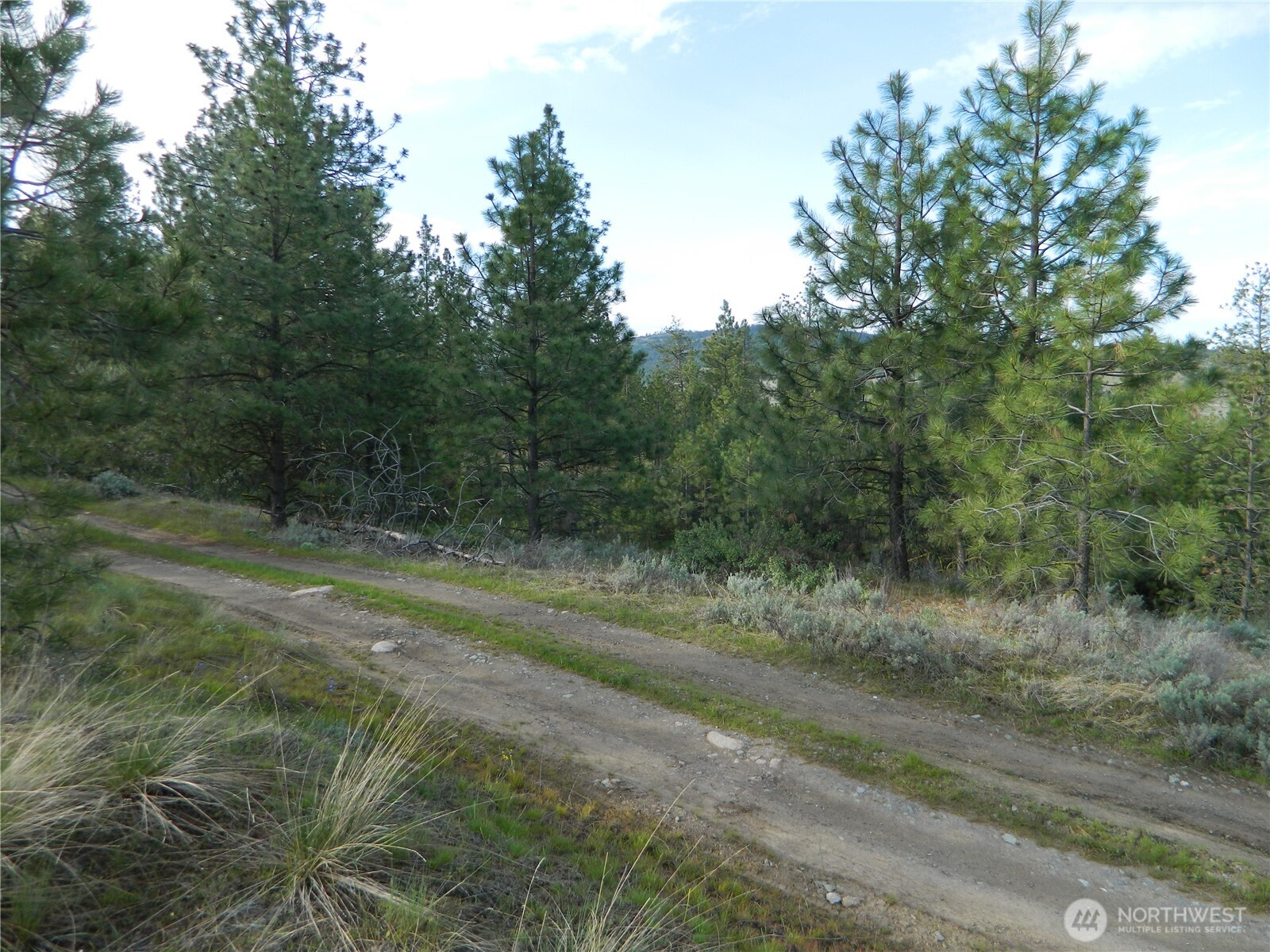 0 Tbd Rehmke Road Property Photo 4