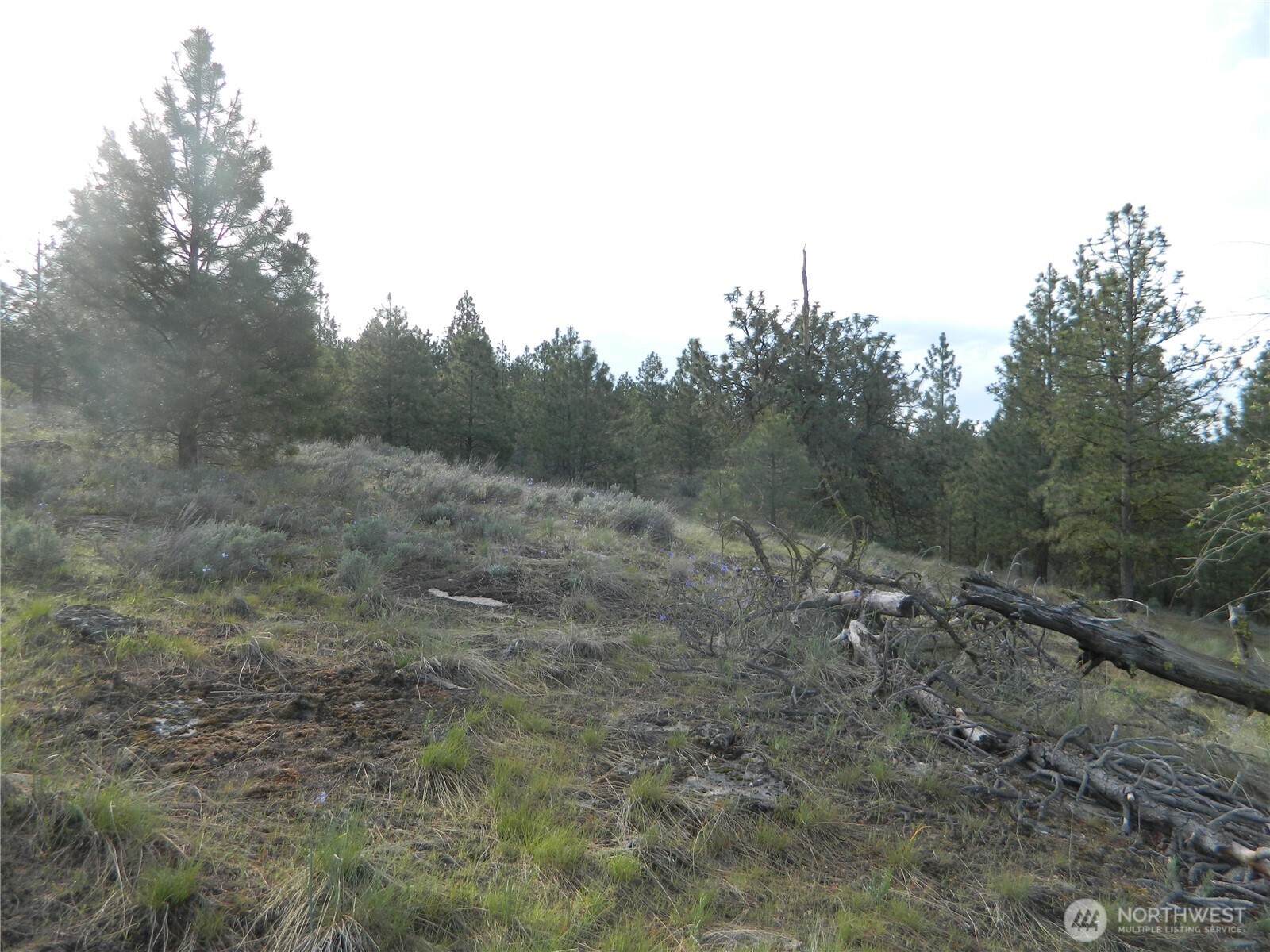 0 Tbd Rehmke Road Property Photo 5