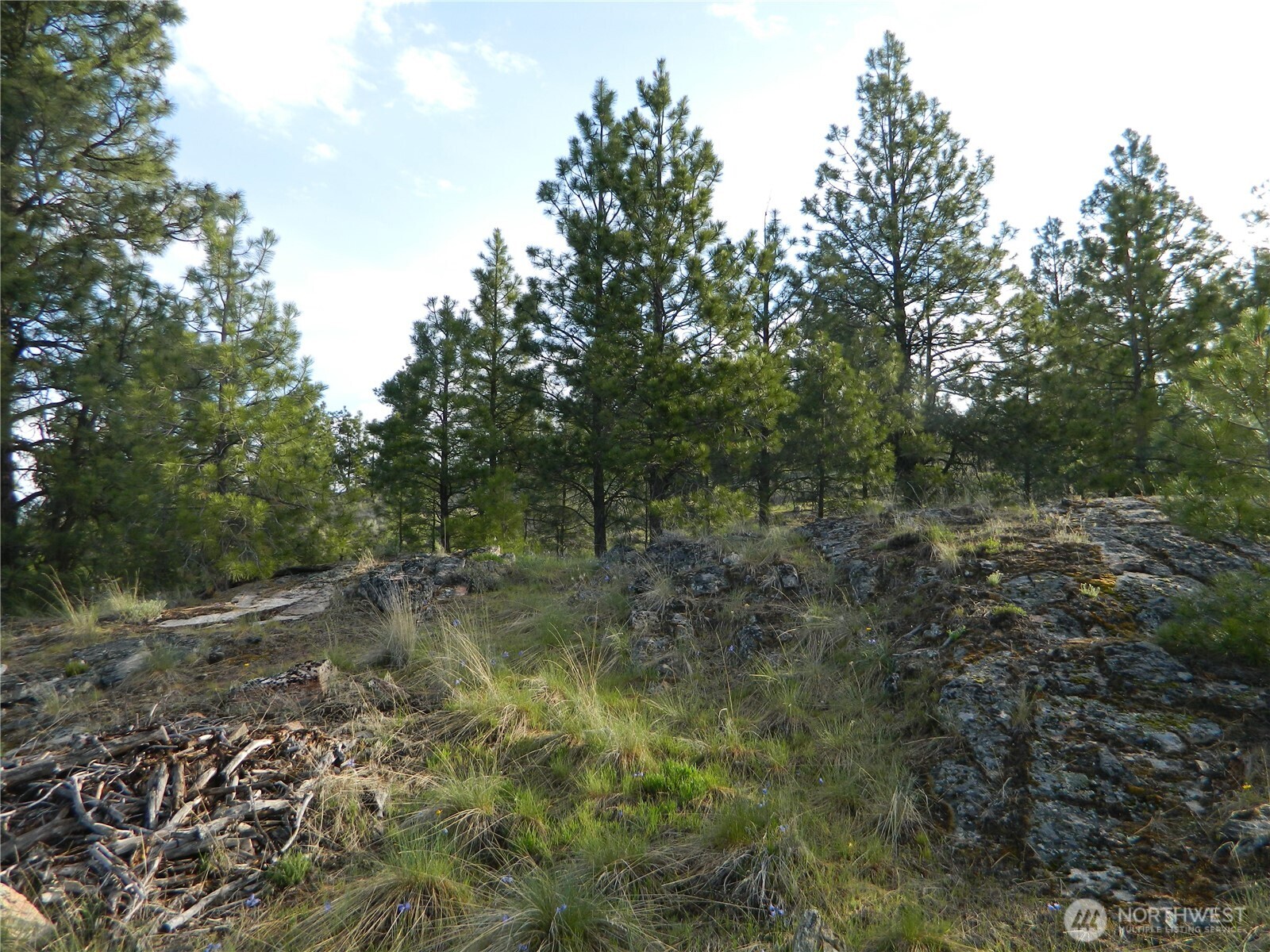 0 Tbd Rehmke Road Property Photo 6