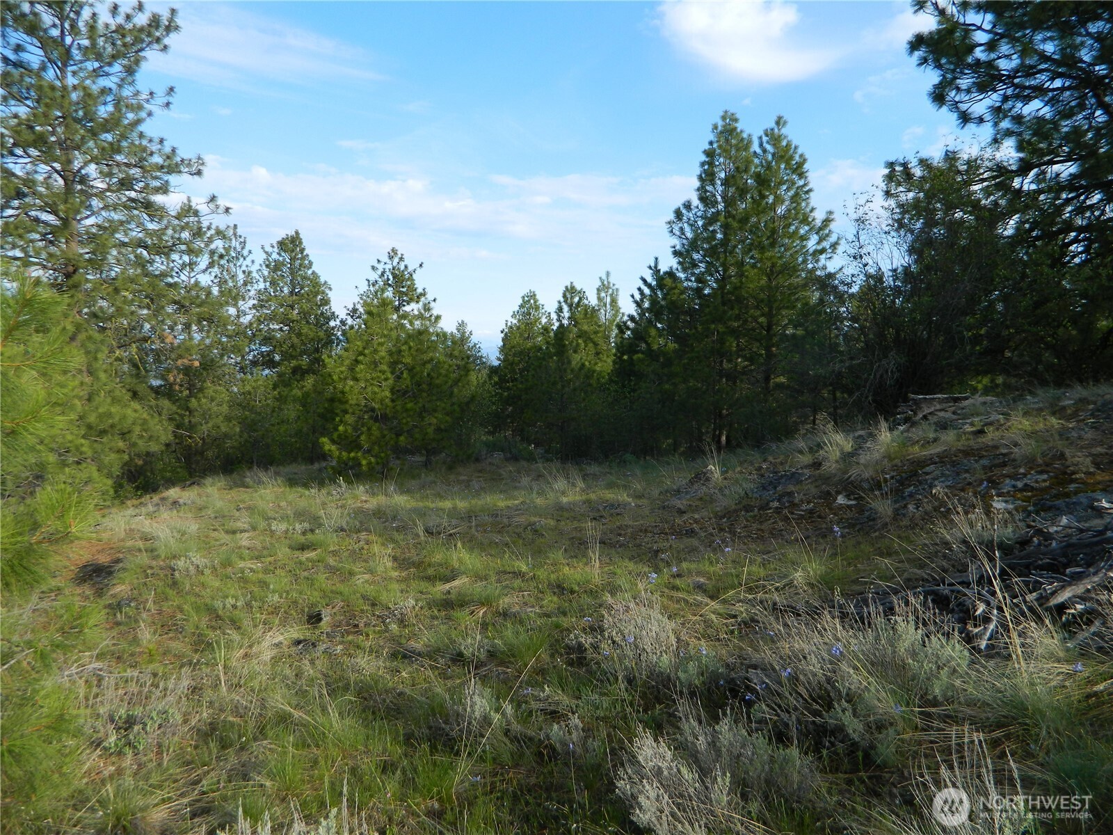 0 Tbd Rehmke Road Property Photo 7
