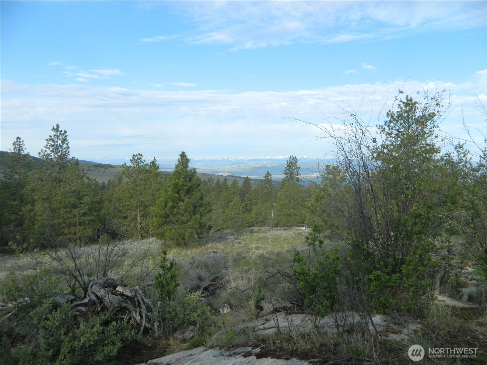 0 Tbd Rehmke Road Property Photo 8