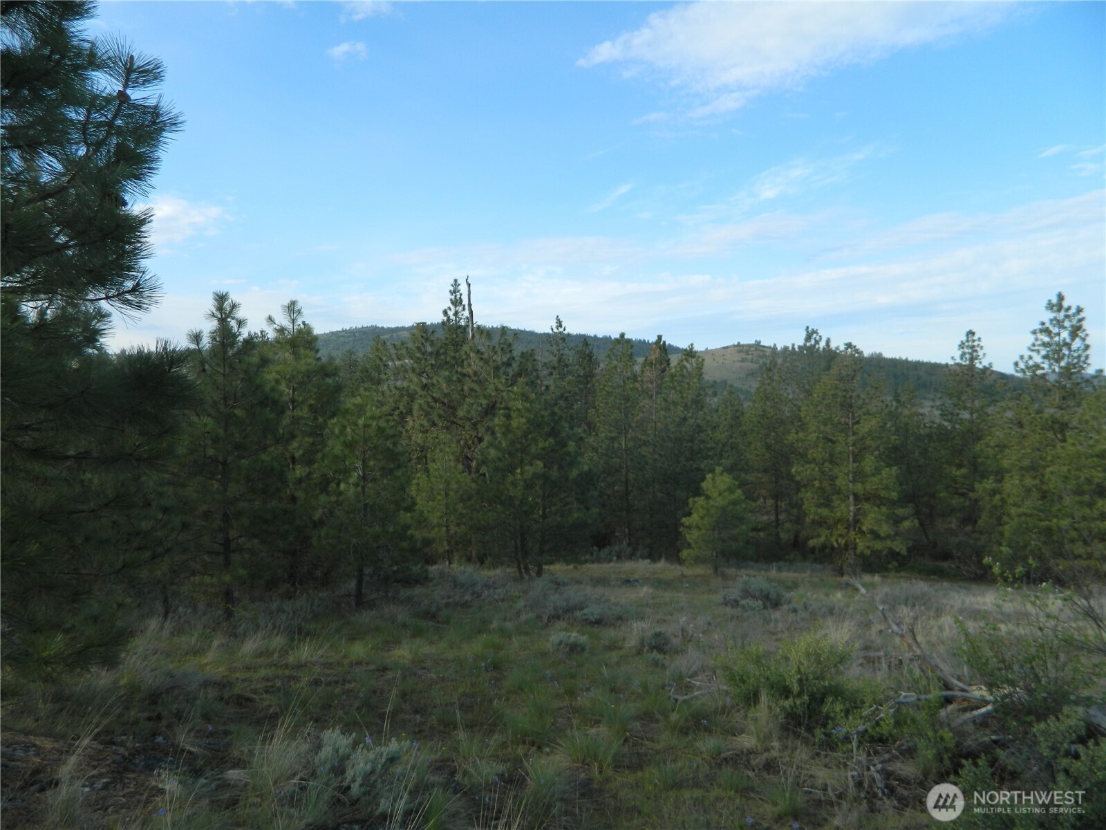 0 Tbd Rehmke Road Property Photo 9