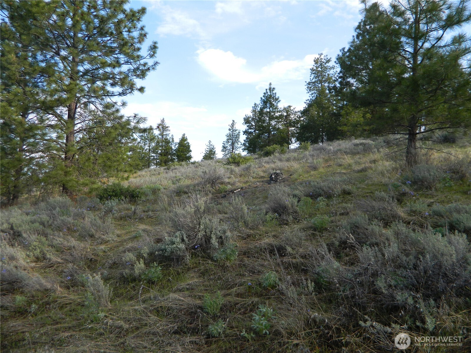 0 Tbd Rehmke Road Property Photo 10