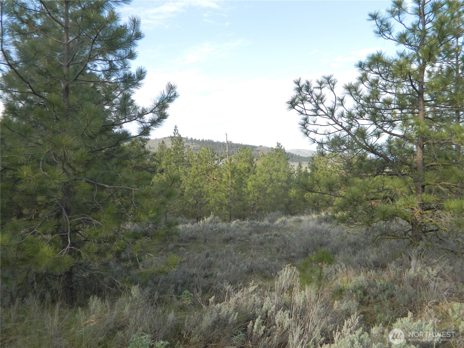 0 Tbd Rehmke Road Property Photo 12