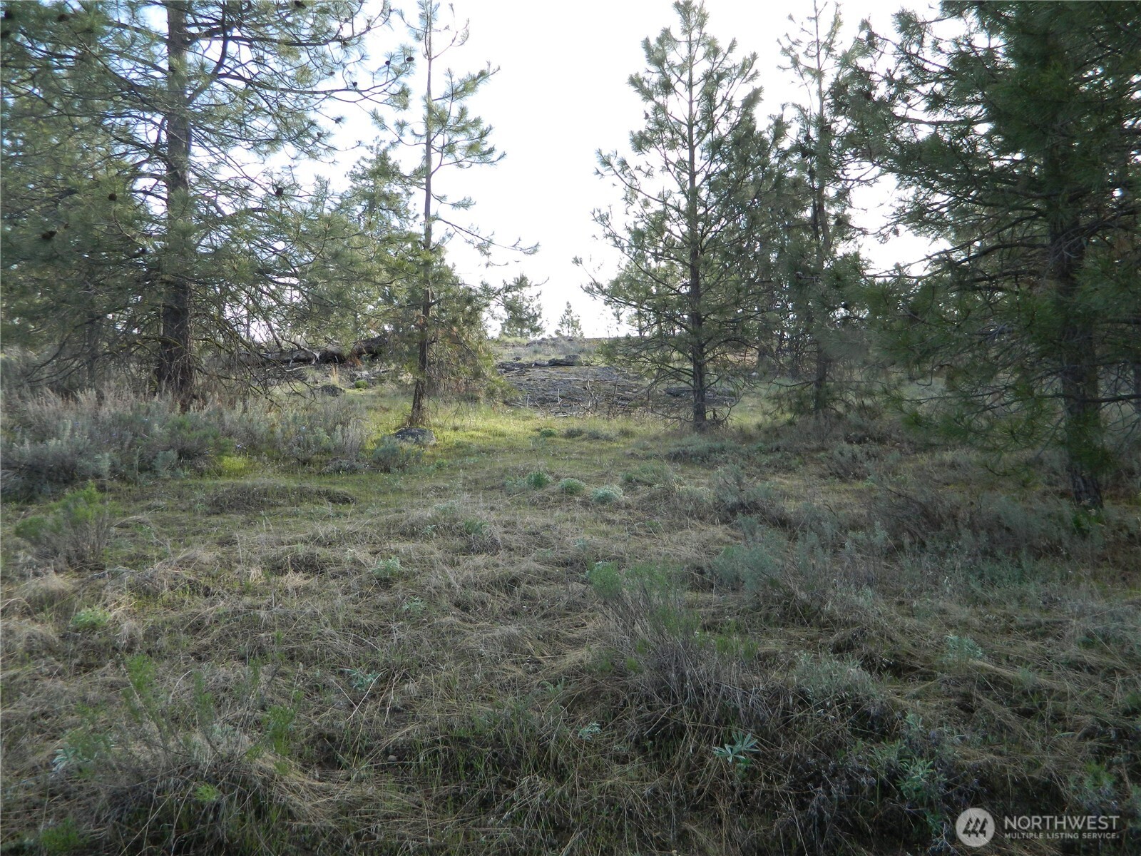 0 Tbd Rehmke Road Property Photo 13