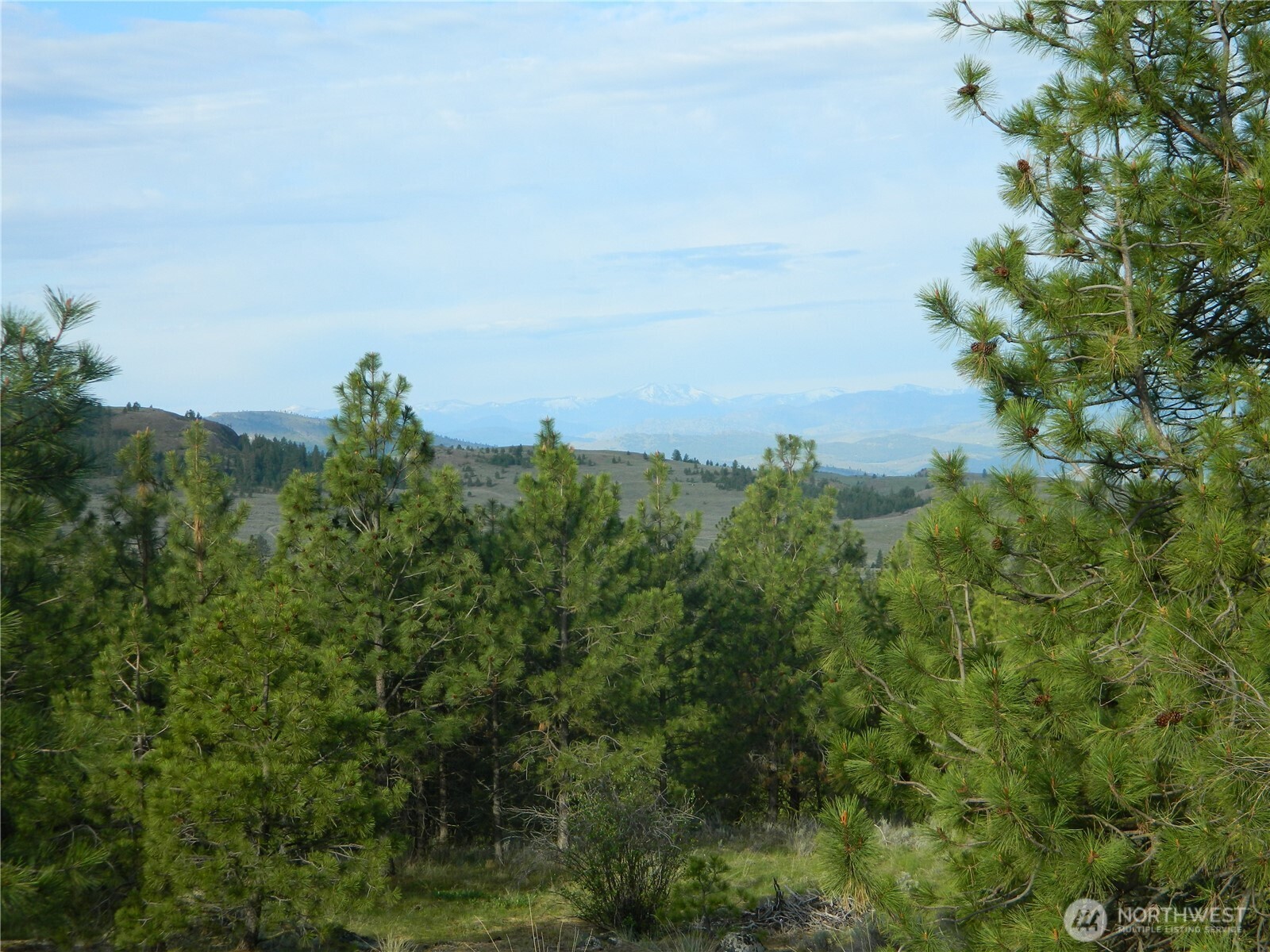 0 Tbd Rehmke Road Property Photo 14