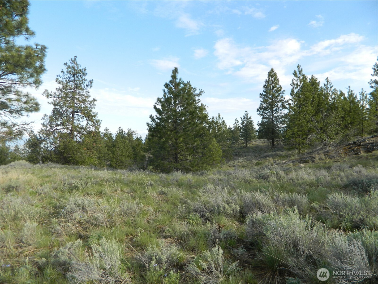 0 Tbd Rehmke Road Property Photo 17