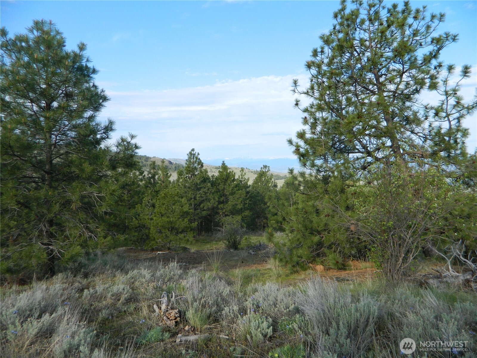 0 Tbd Rehmke Road Property Photo 19