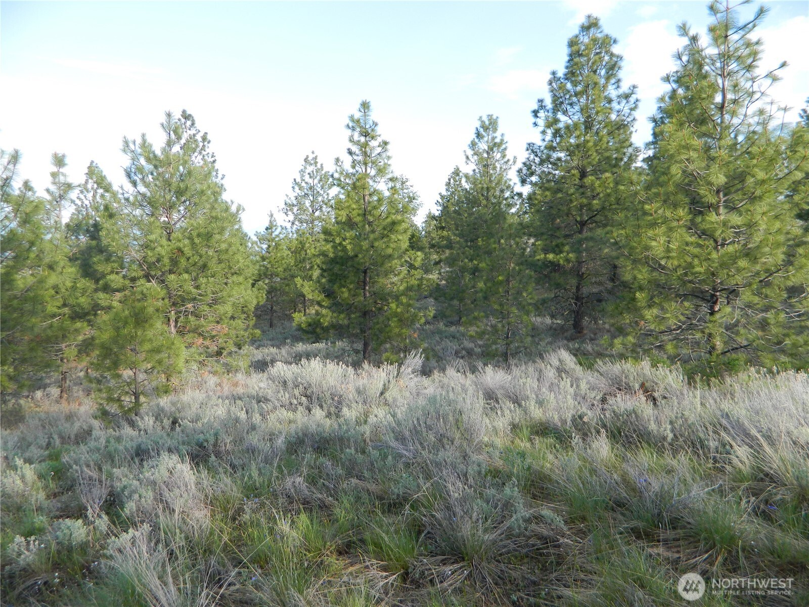 0 Tbd Rehmke Road Property Photo 20