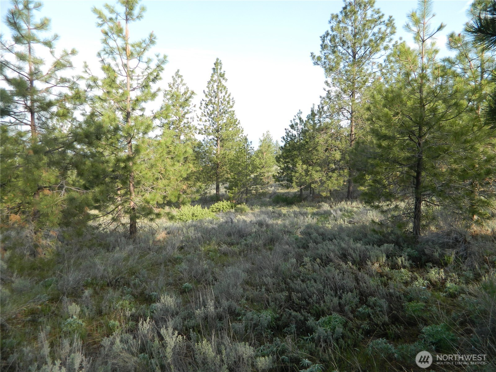 0 Tbd Rehmke Road Property Photo 21