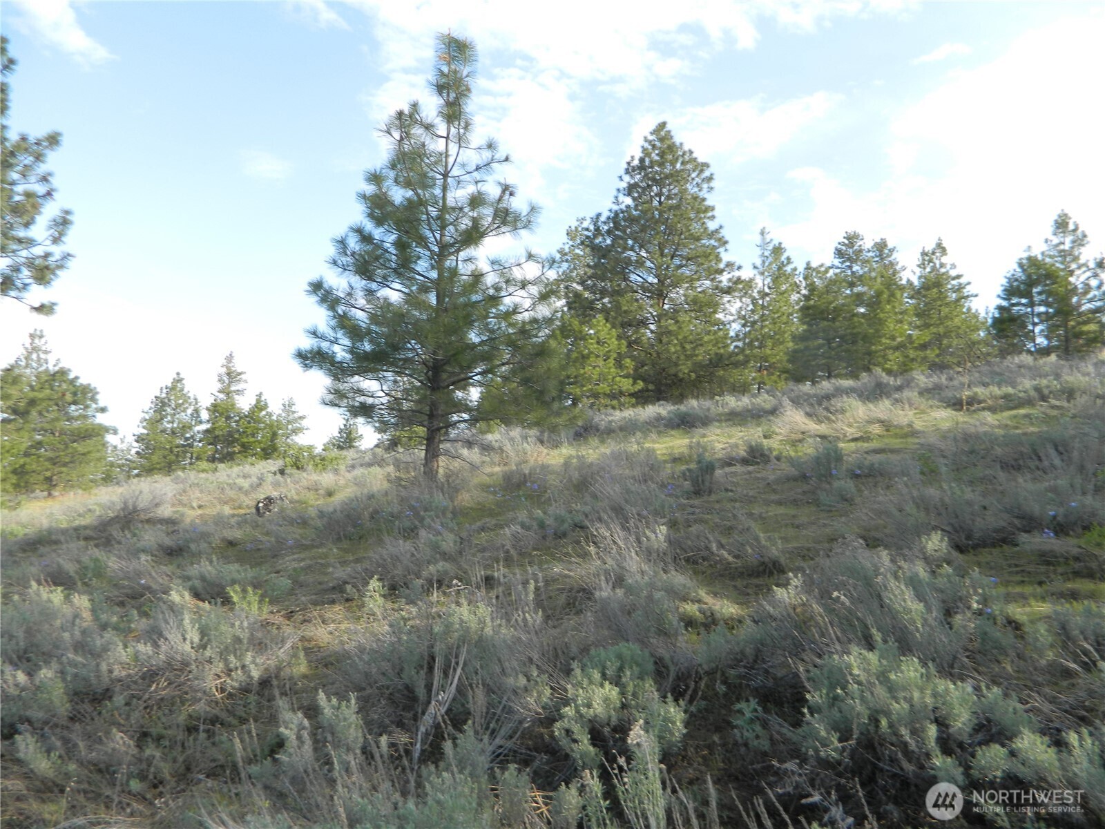 0 Tbd Rehmke Road Property Photo 22