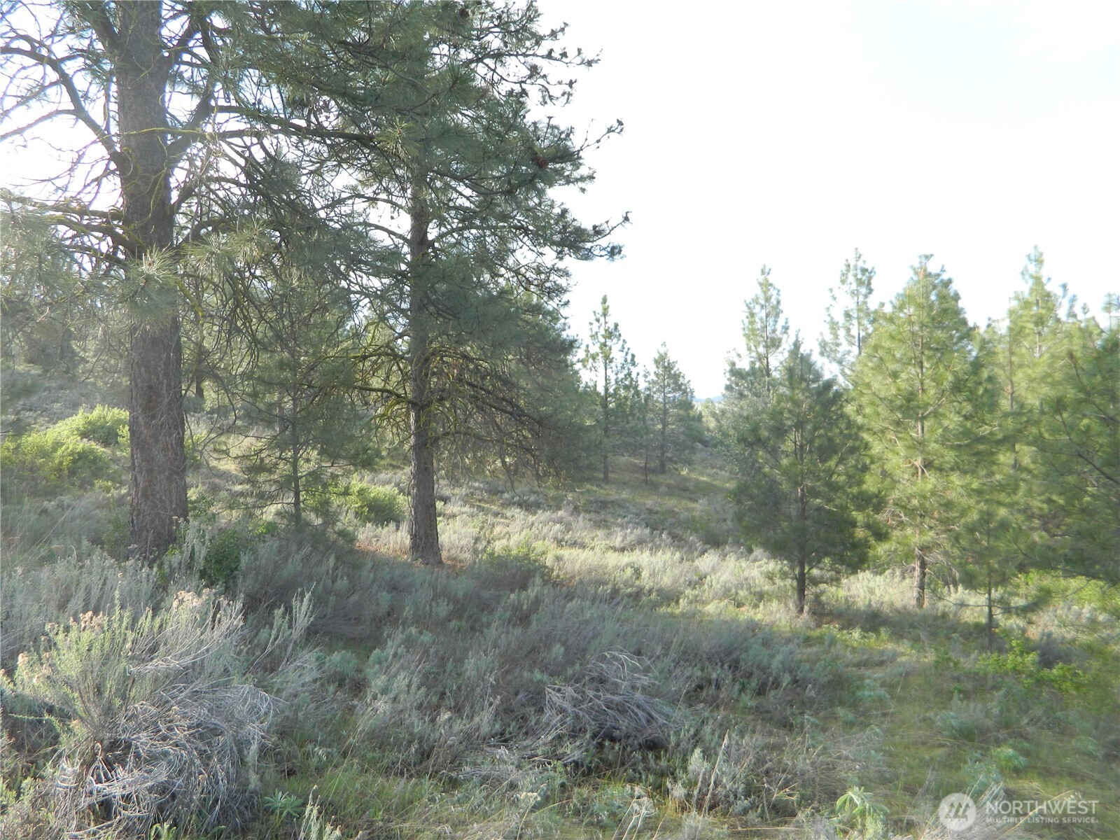 0 Tbd Rehmke Road Property Photo 23