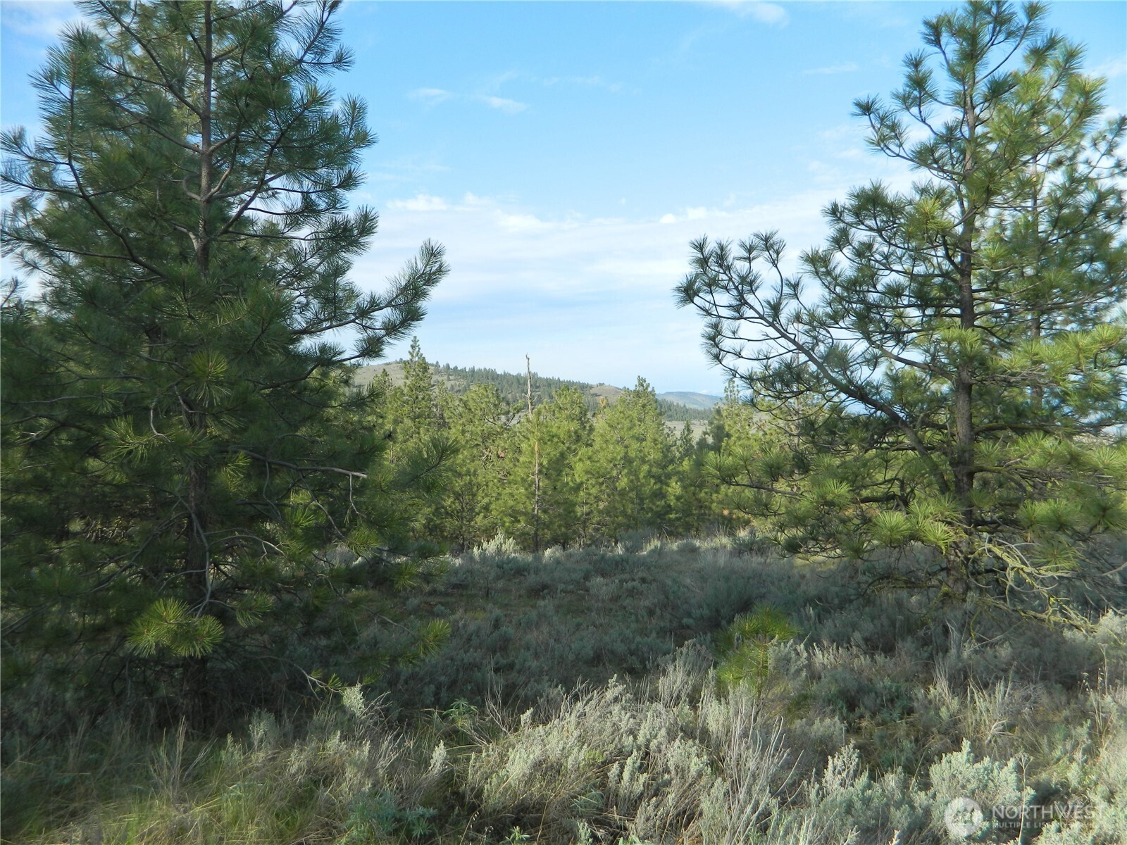 0 Tbd Rehmke Road Property Photo 24