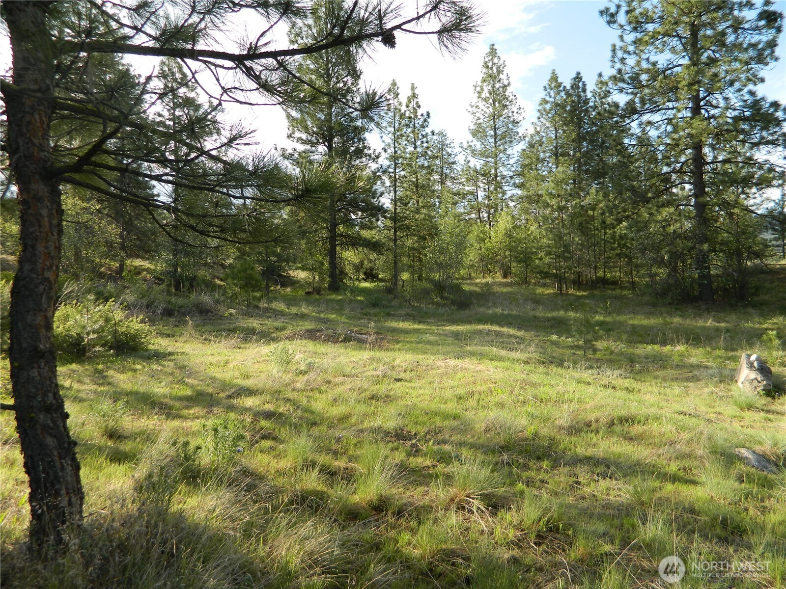 0 Tbd Rehmke Road Property Photo 25