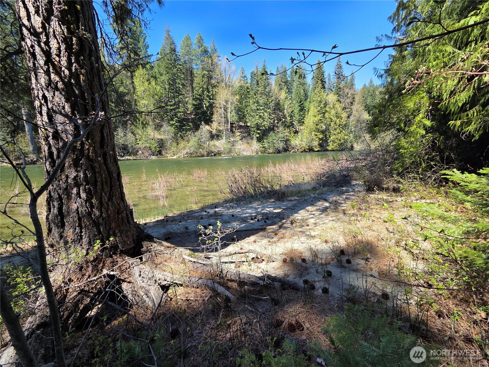 0 W Shugart Flats Rd Property Photo 6