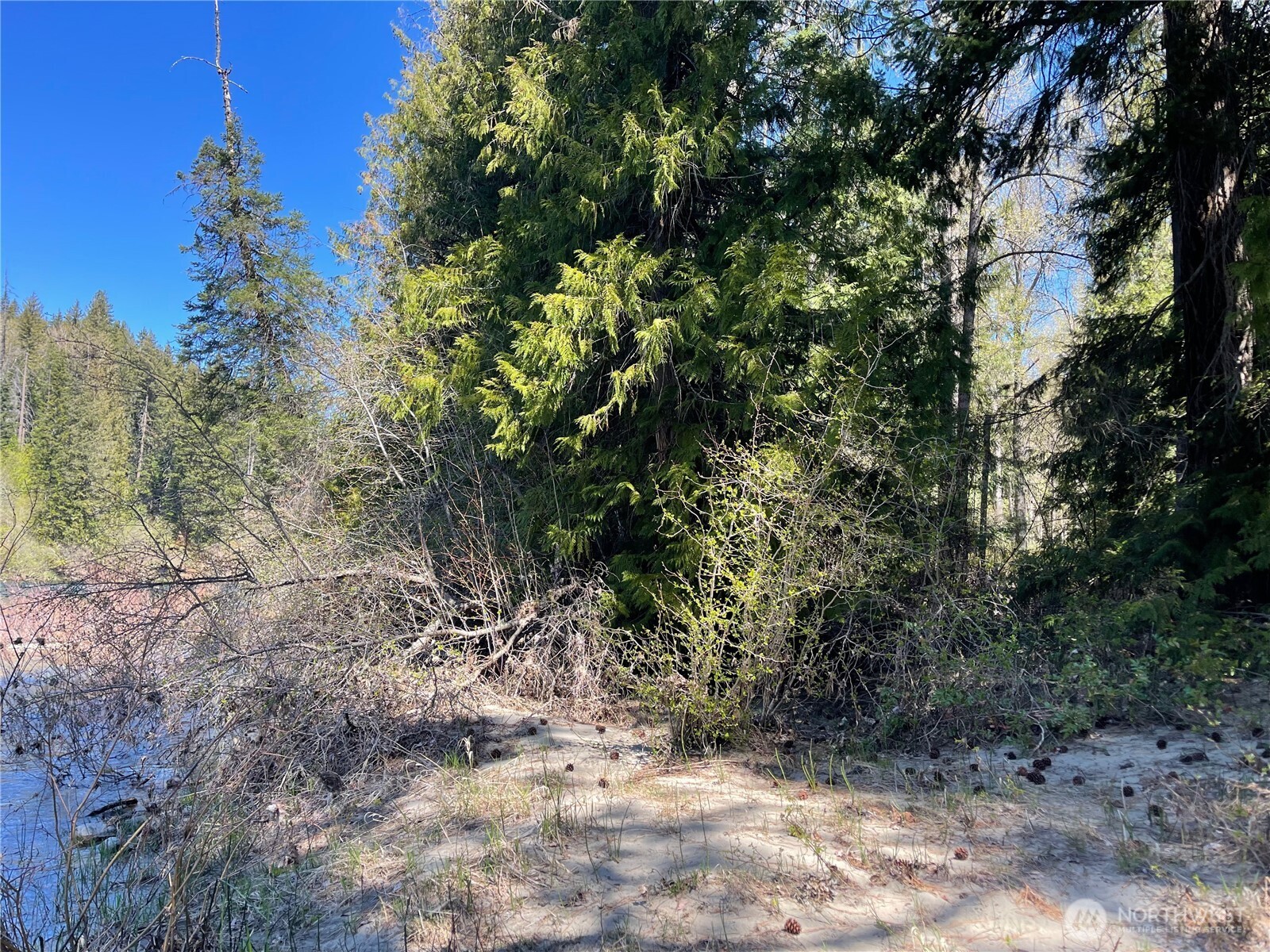 0 W Shugart Flats Rd Property Photo 12