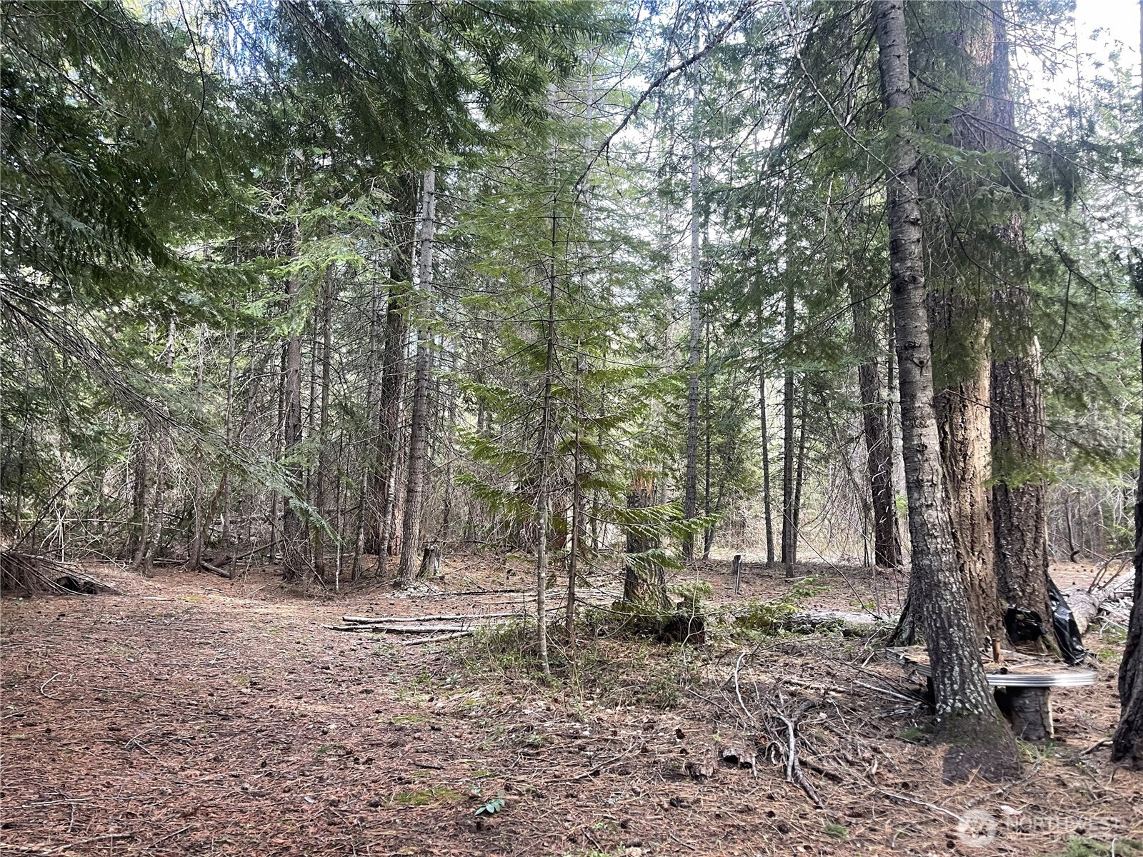 0 W Shugart Flats Rd Property Photo 16