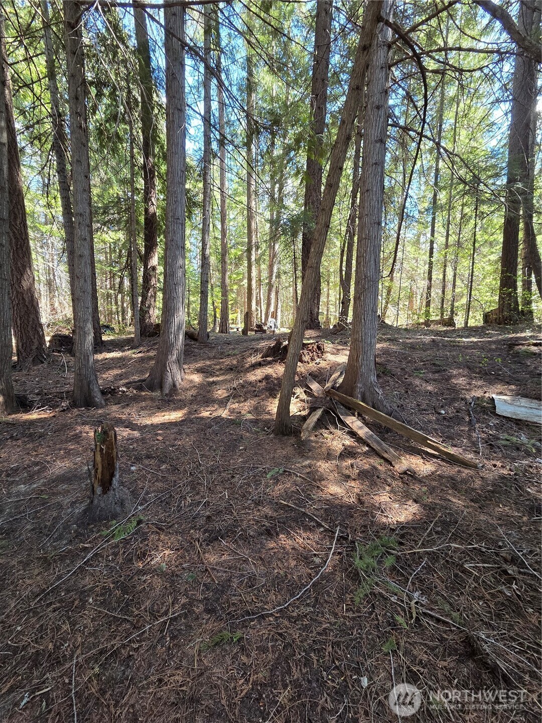 0 W Shugart Flats Rd Property Photo 19