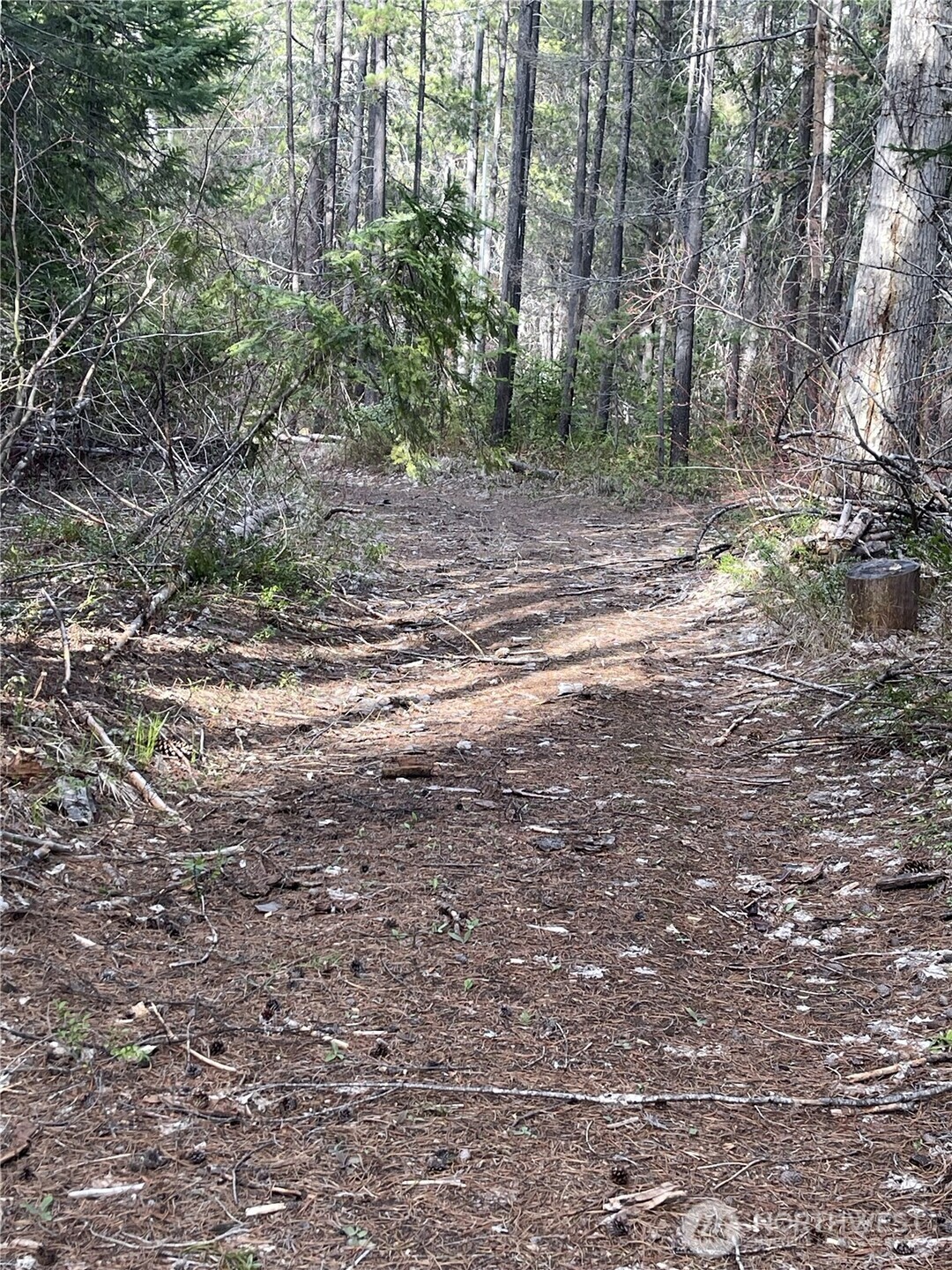 0 W Shugart Flats Rd Property Photo 21