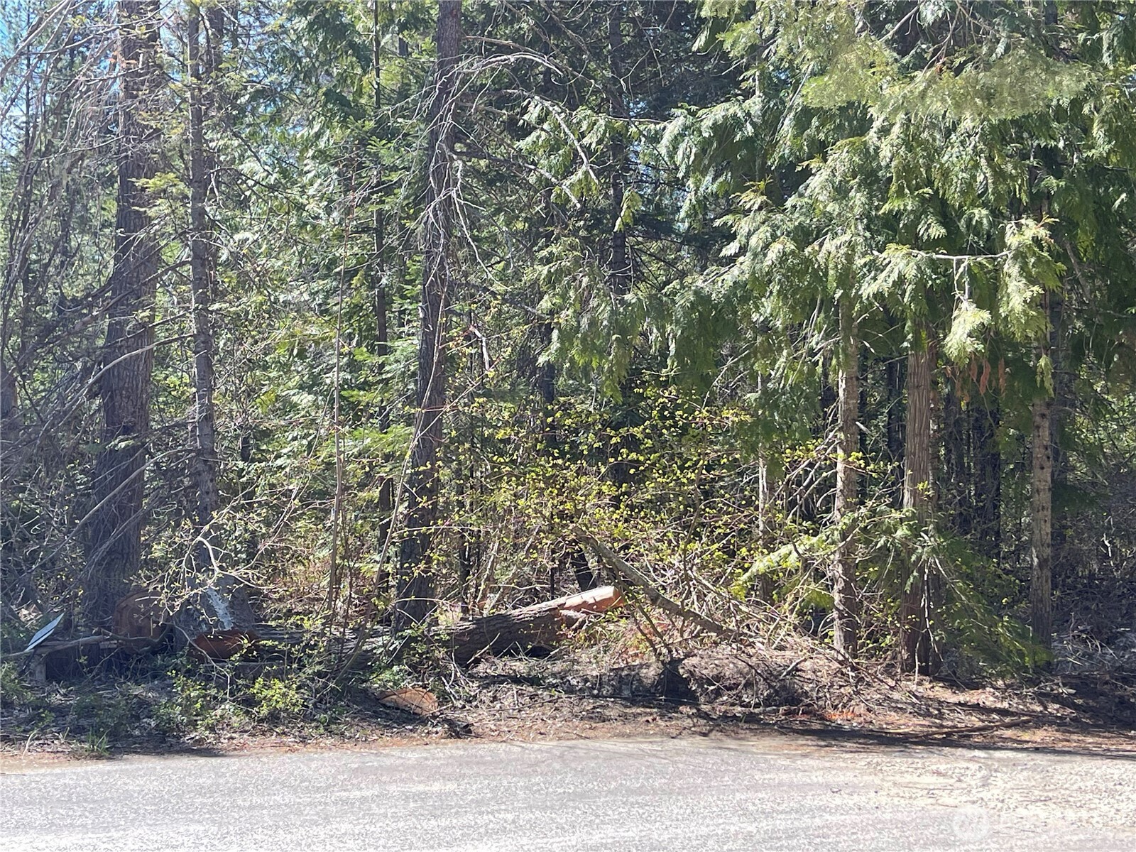 0 W Shugart Flats Rd Property Photo 25