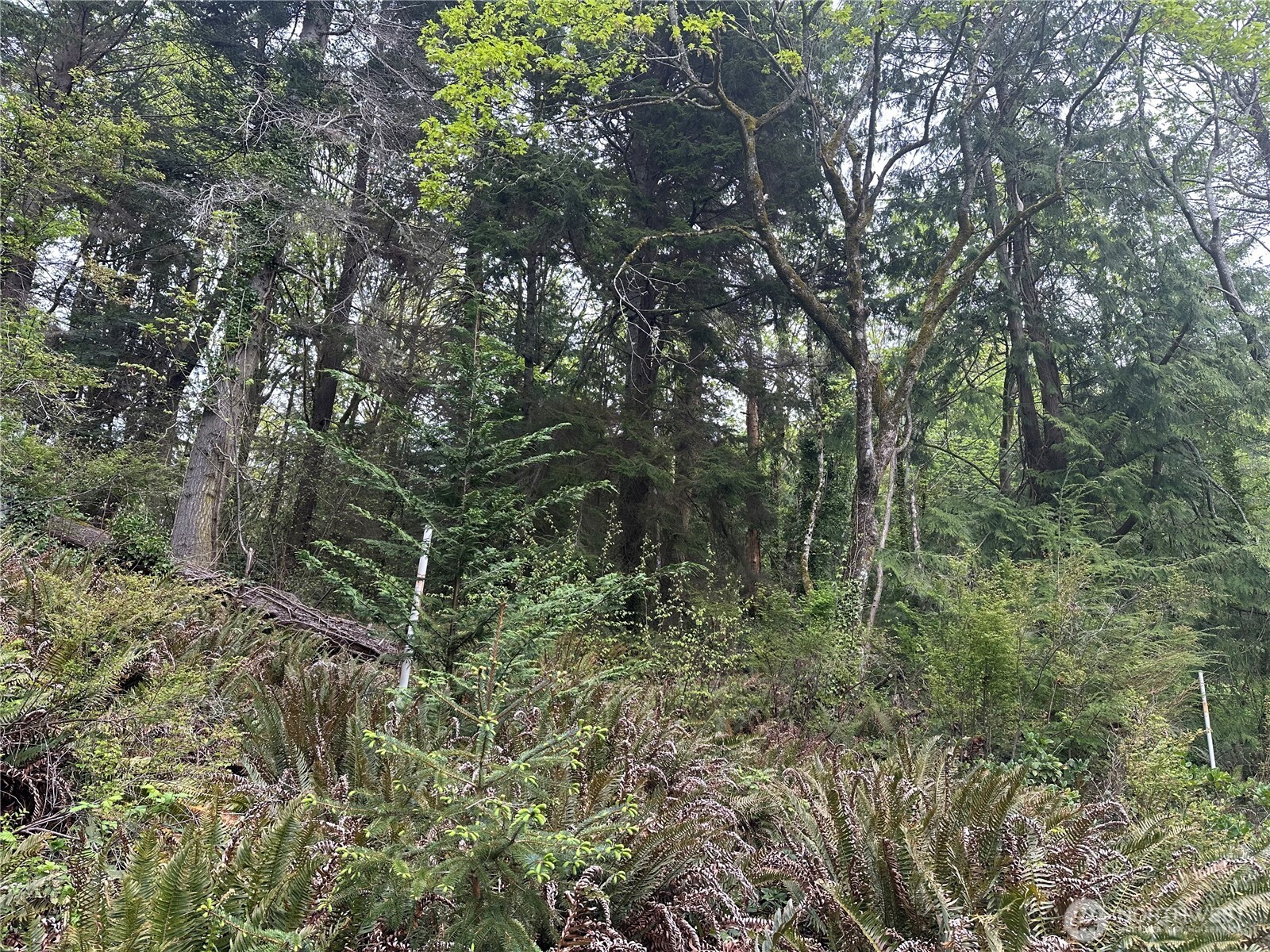 11 Ne Shore Drive Property Photo 1