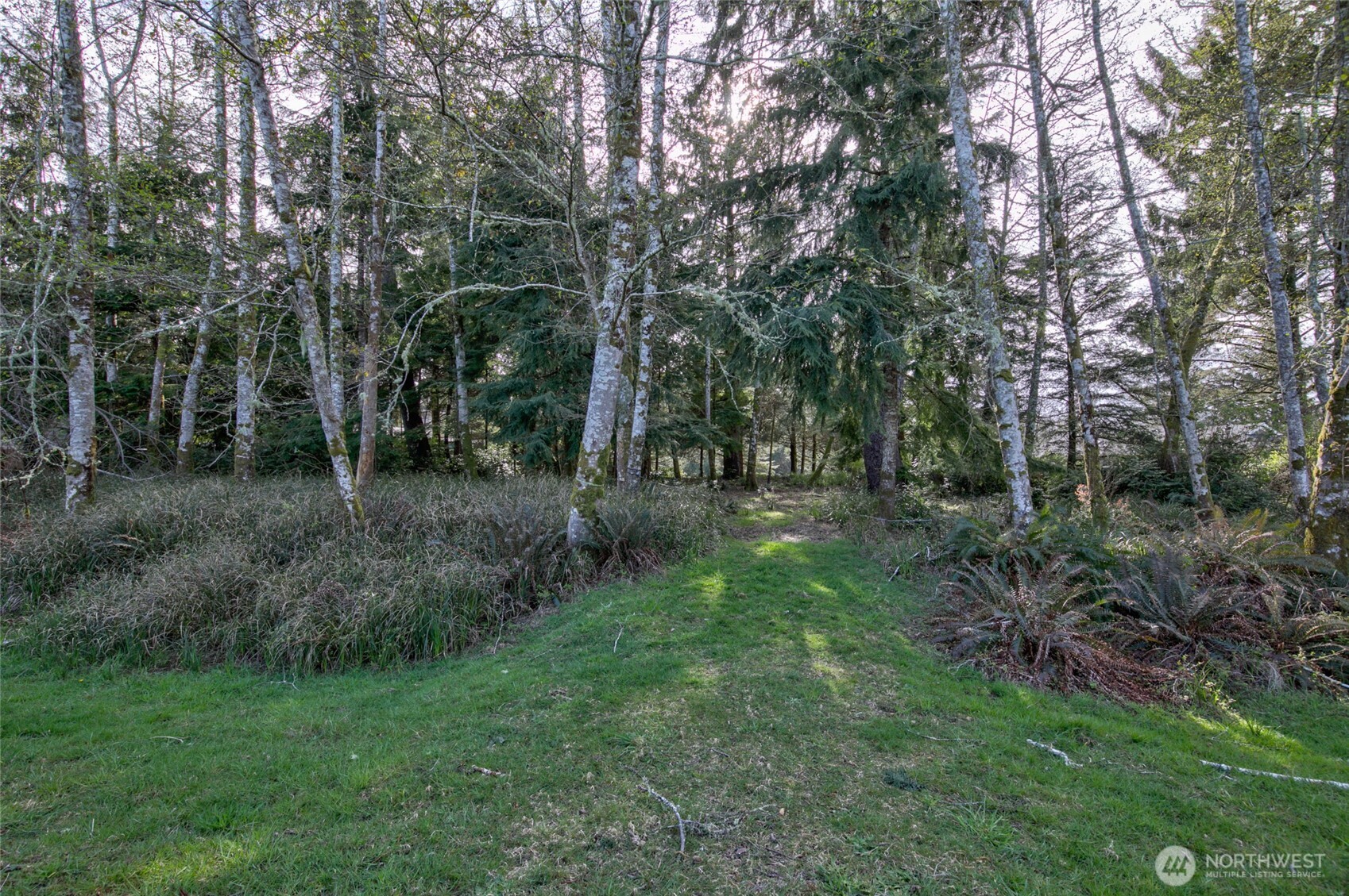 189 Duck Lake Drive Property Photo 3