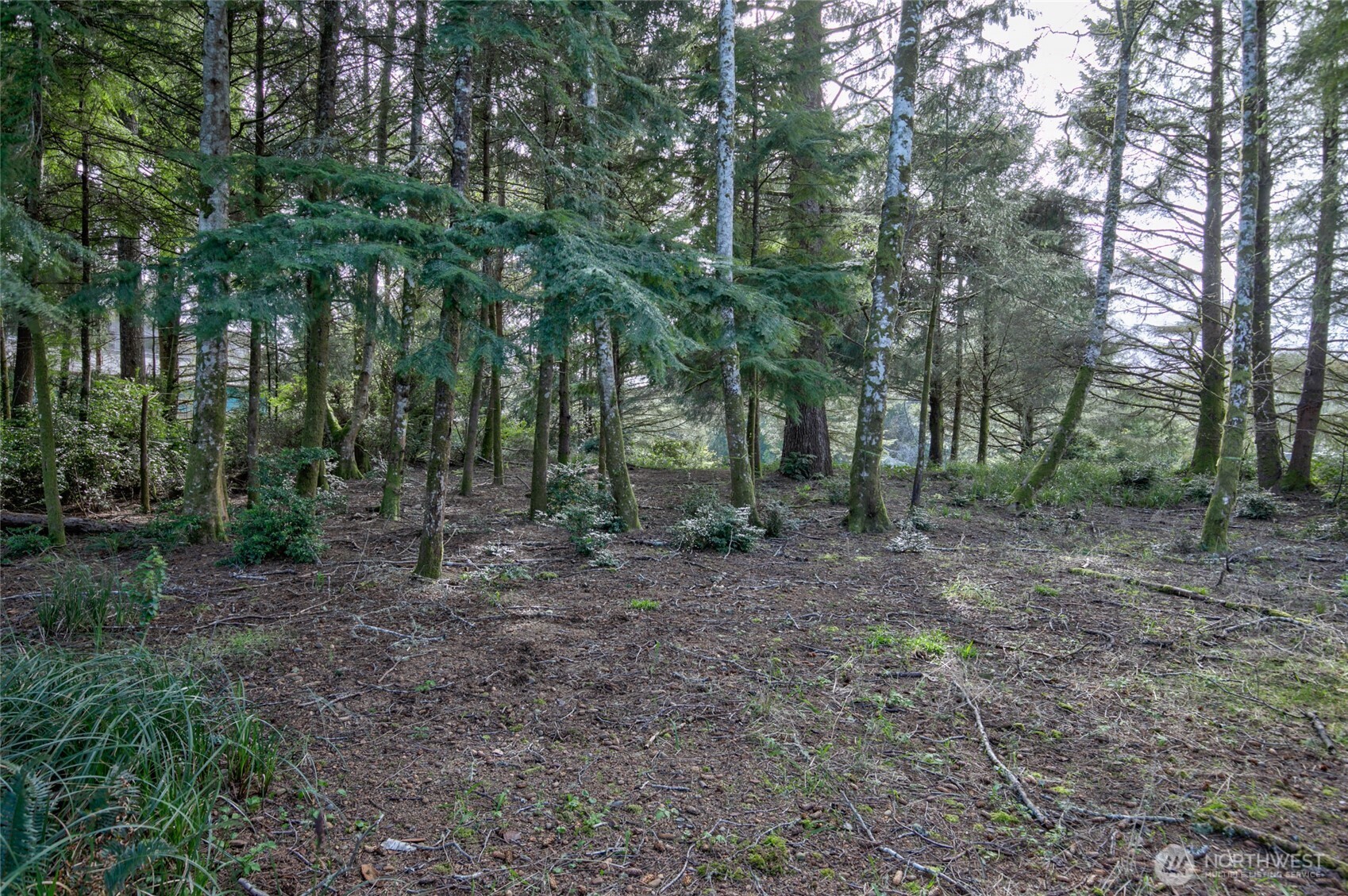 189 Duck Lake Drive Property Photo 4