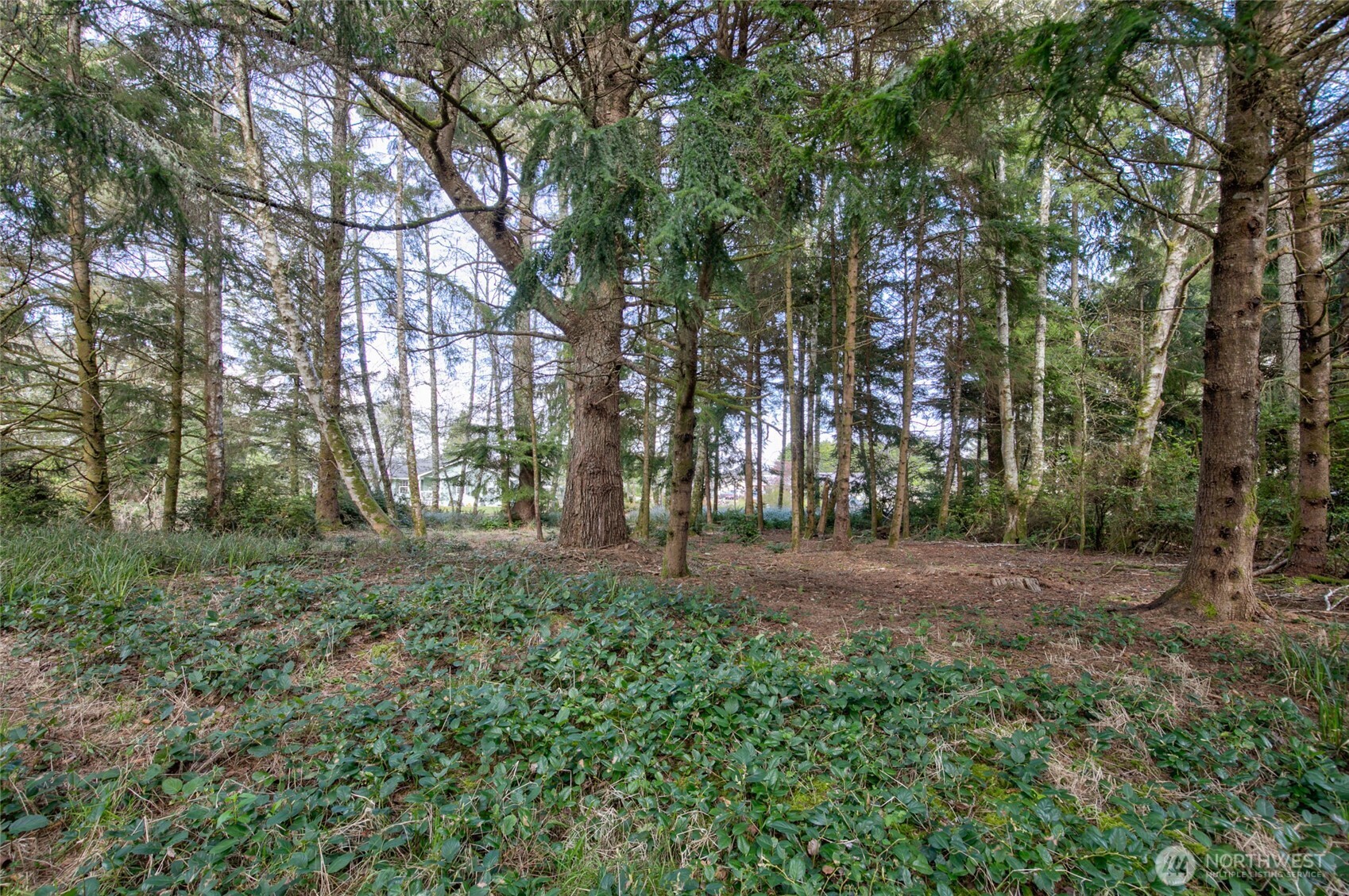 189 Duck Lake Drive Property Photo 9