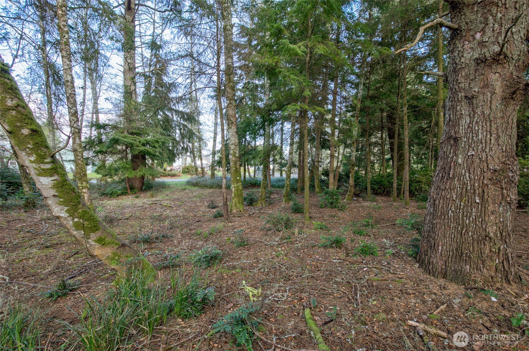 189 Duck Lake Drive Property Photo 10