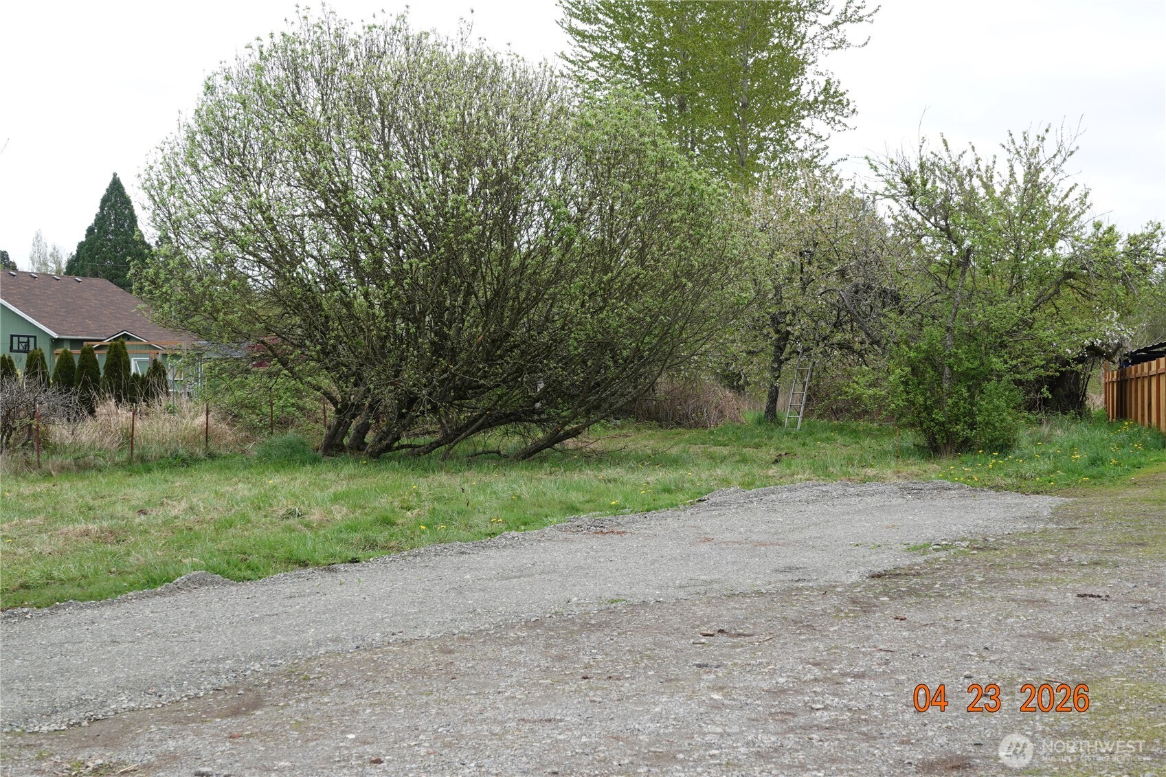 11703 34th Avenue Property Photo 3
