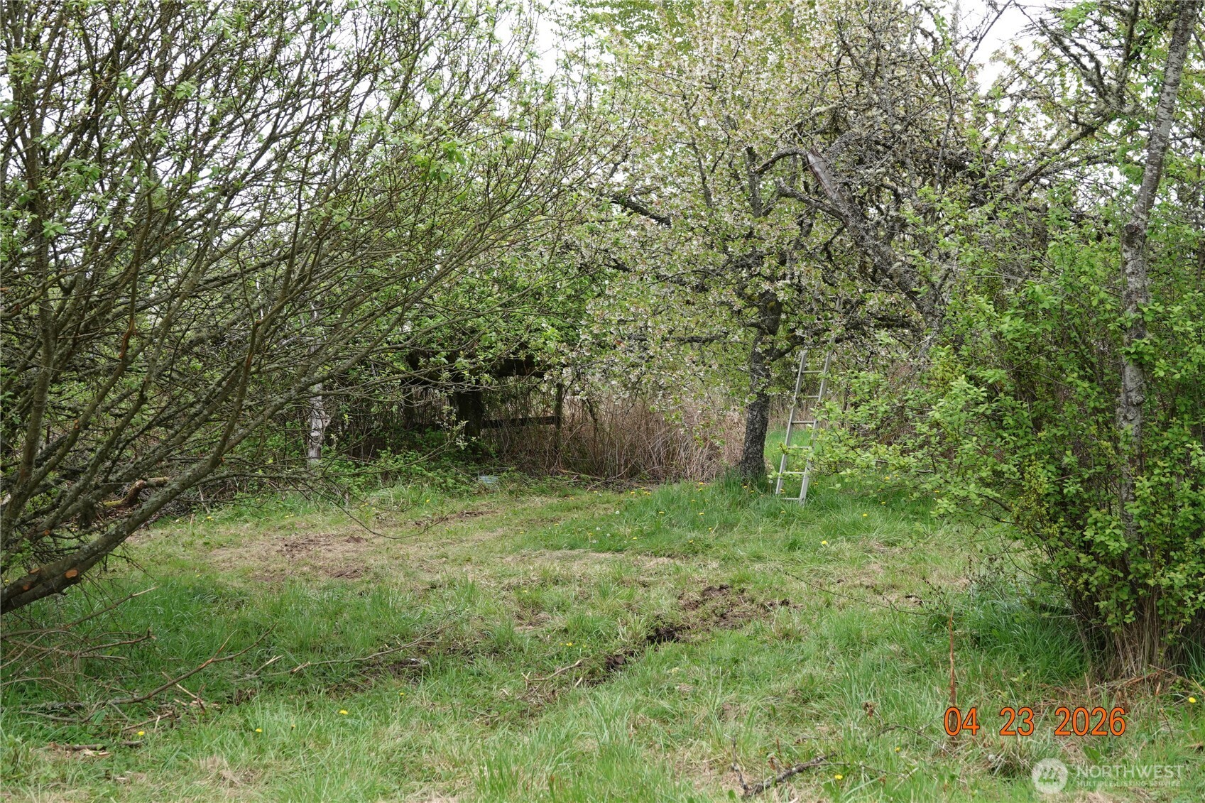 11703 34th Avenue Property Photo 4