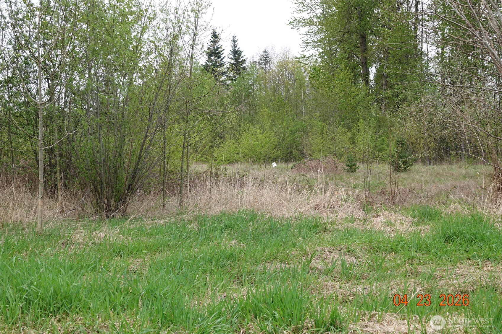 11703 34th Avenue Property Photo 5