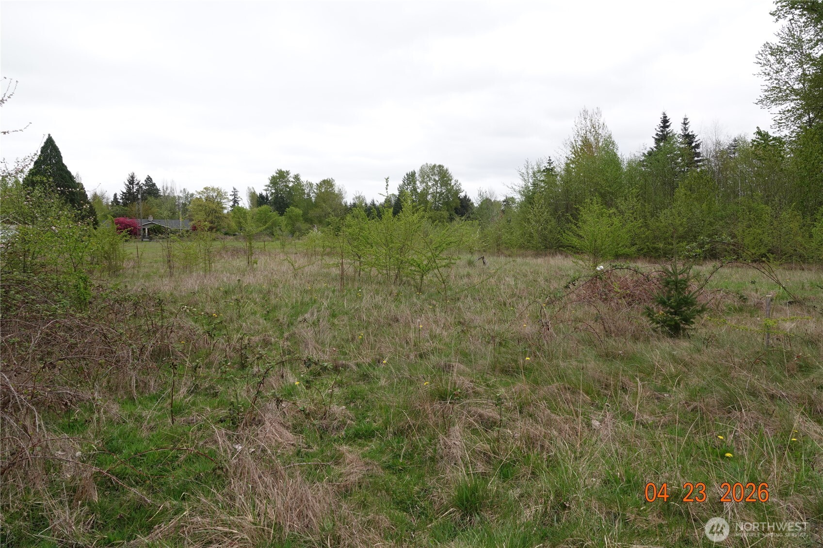 11703 34th Avenue Property Photo 7