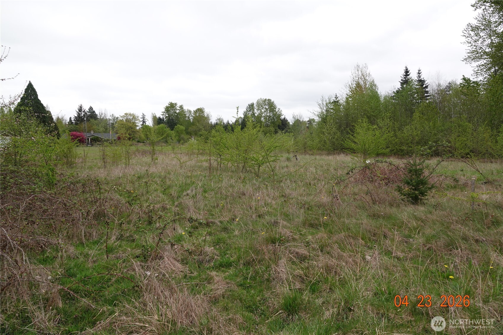 11703 34th Avenue Property Photo 8