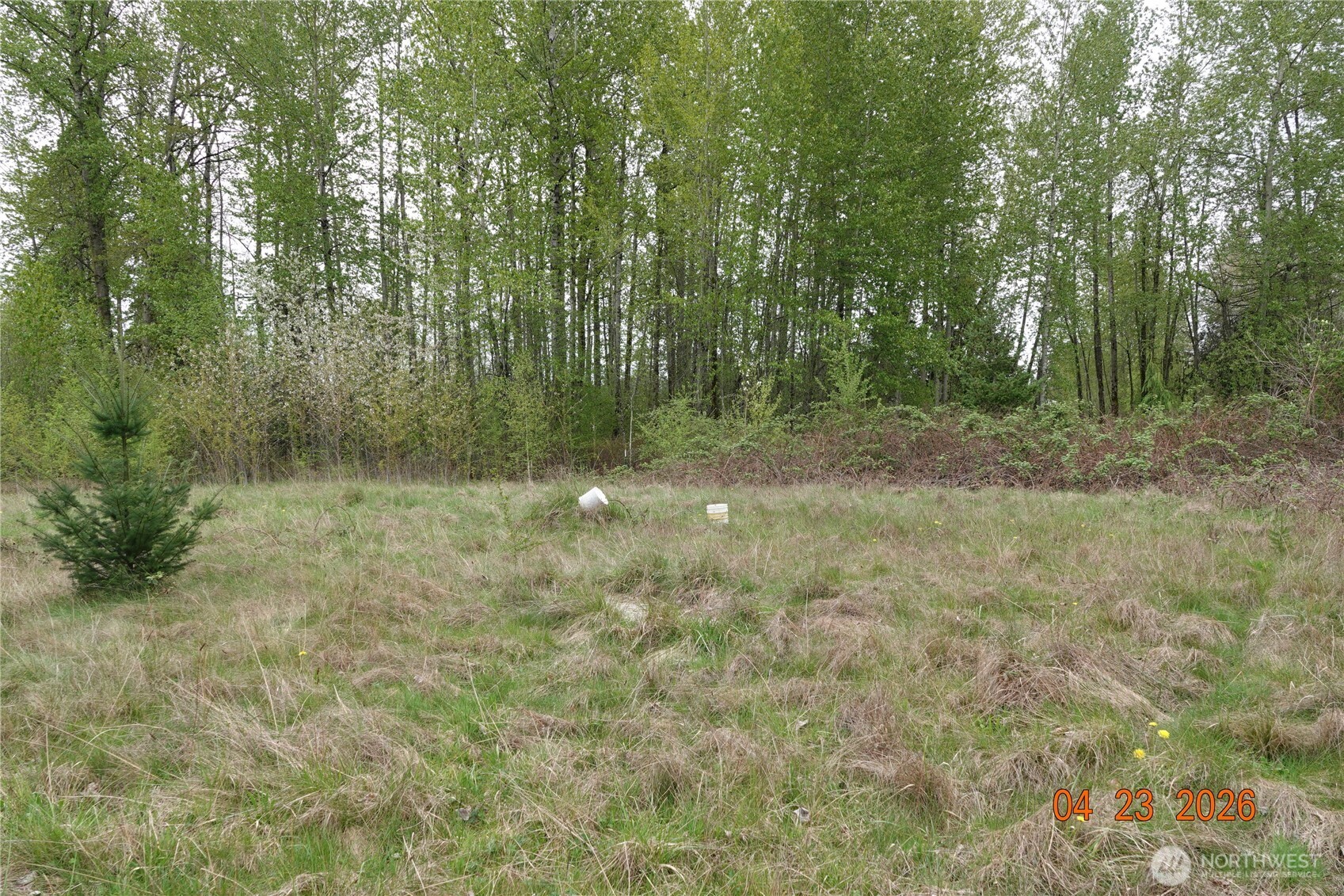 11703 34th Avenue Property Photo 9