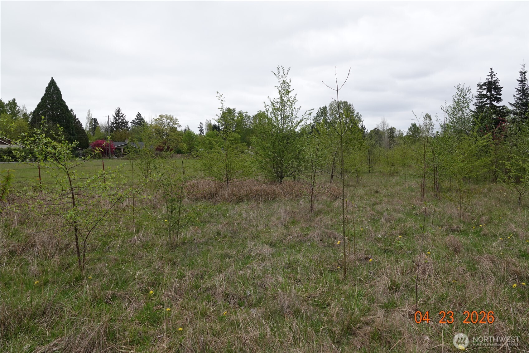 11703 34th Avenue Property Photo 11