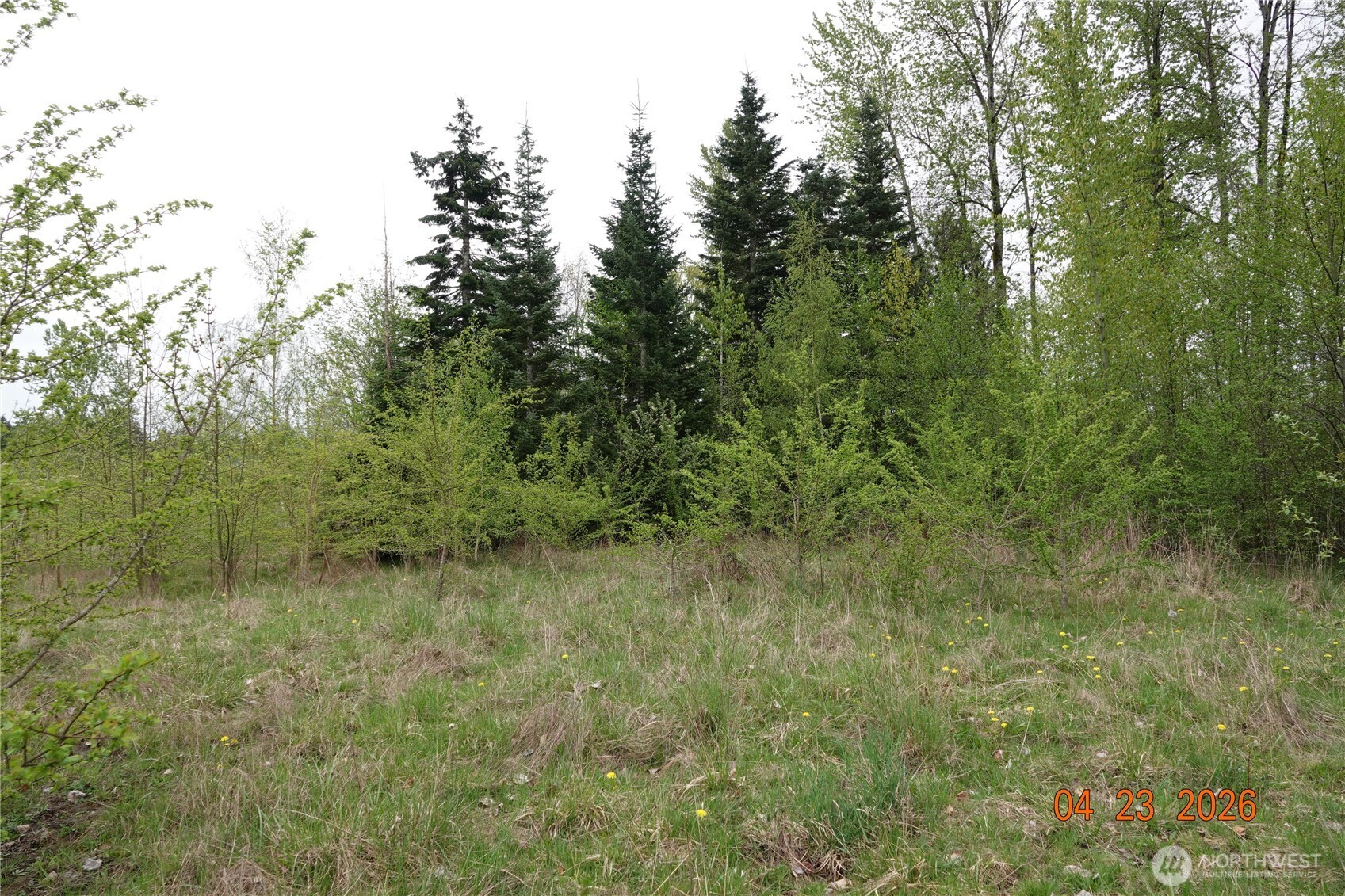 11703 34th Avenue Property Photo 12