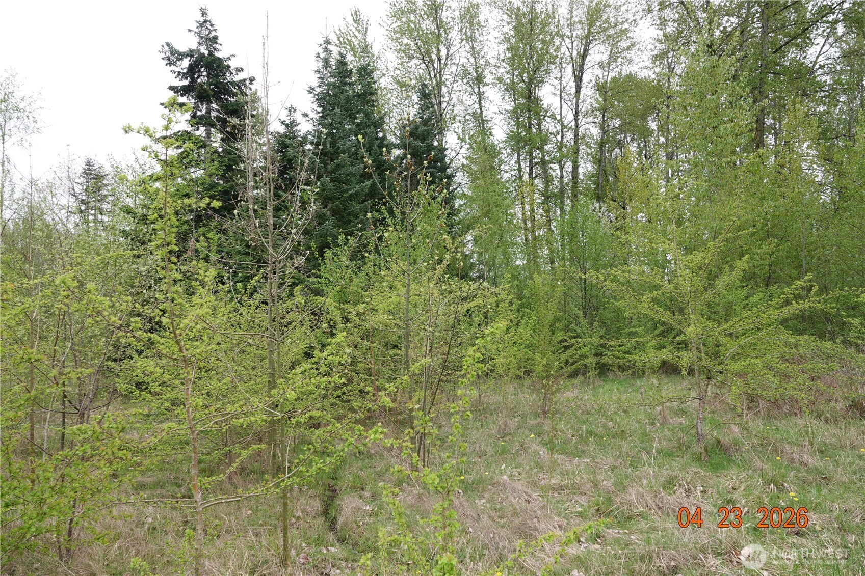 11703 34th Avenue Property Photo 13